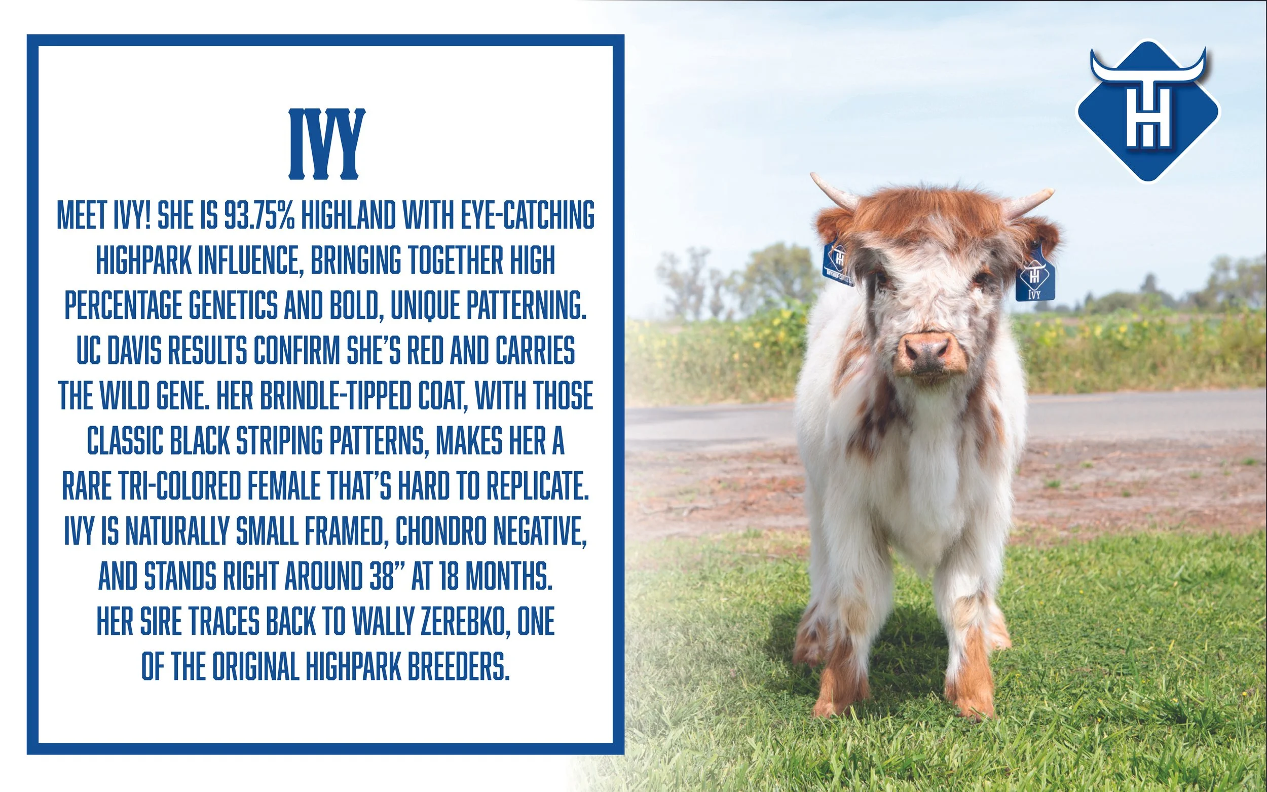 00 Website Cover5.jpg