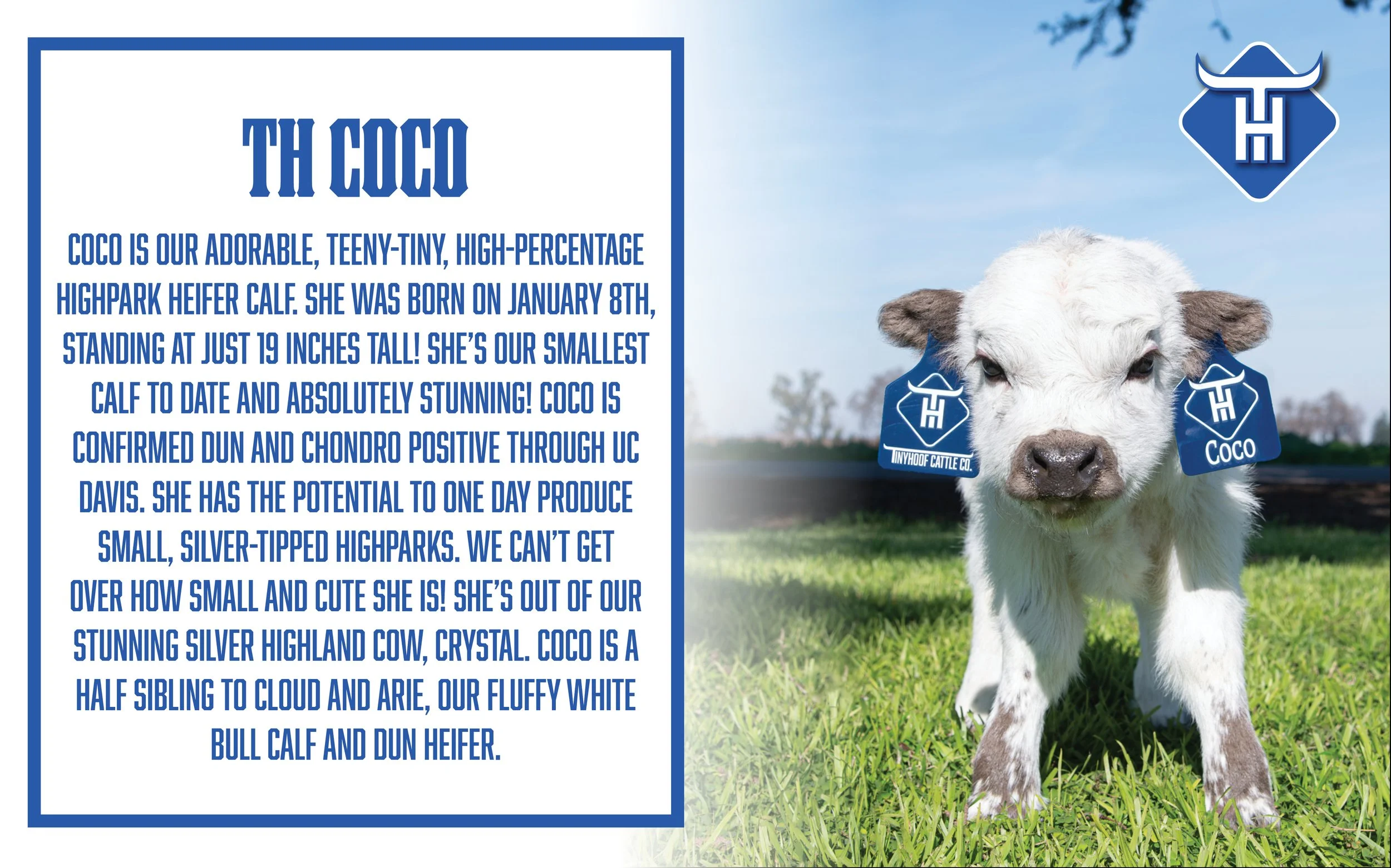 00 Website Cover3.jpg