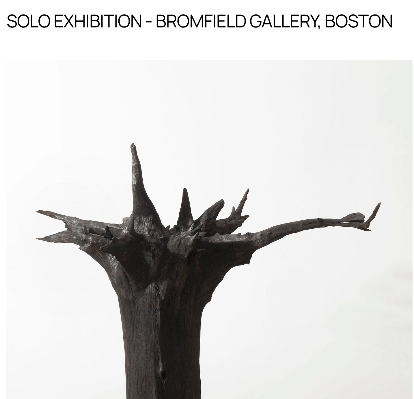 Solo Exhibition - Bromfield Gallery, Boston