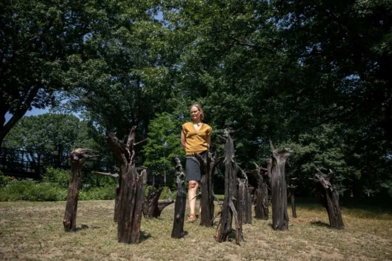 Feature Interview: Brookline News