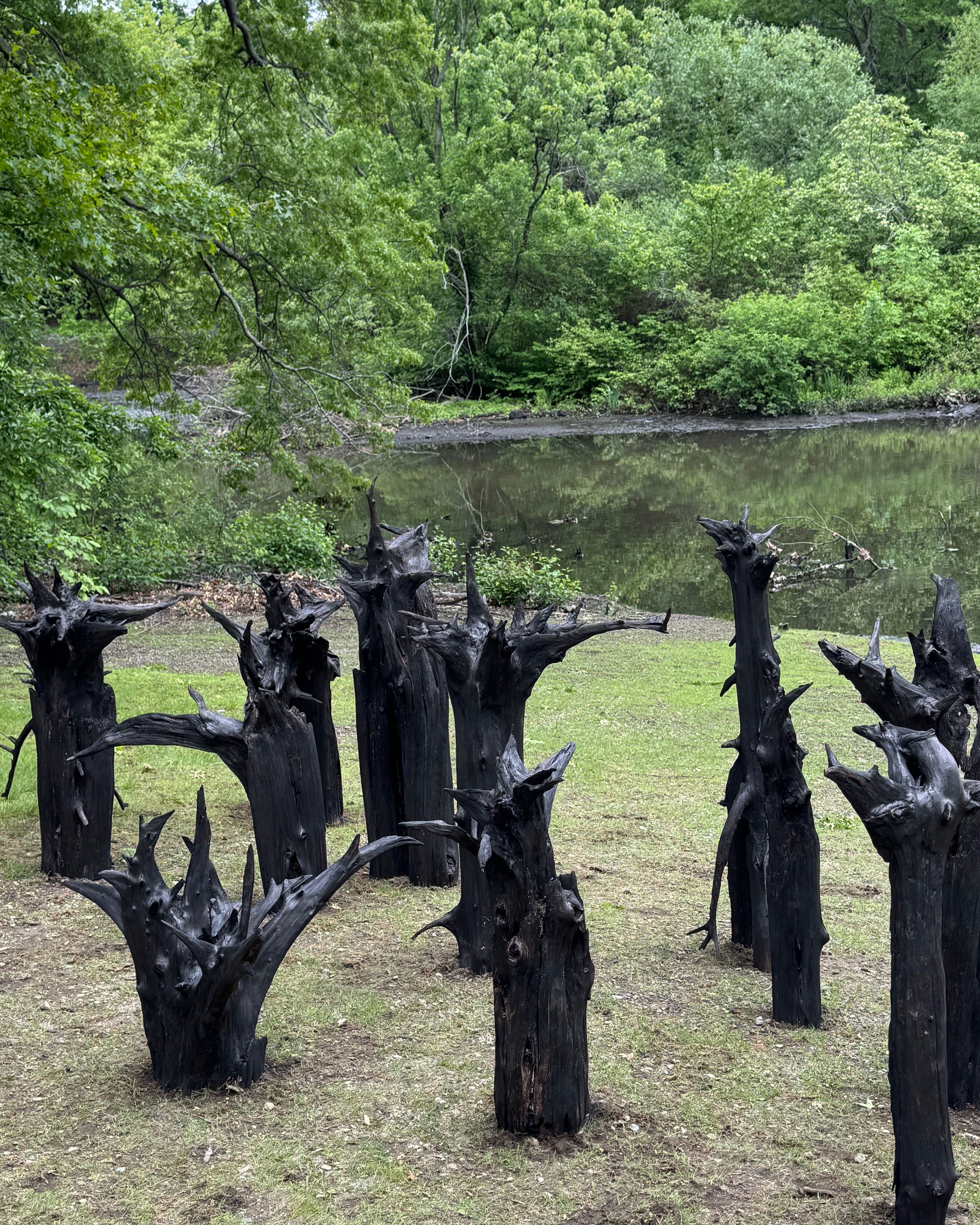 2025 Installation at Brookline Park, MA | Endurance | Fire on cedar root, variable dimensions