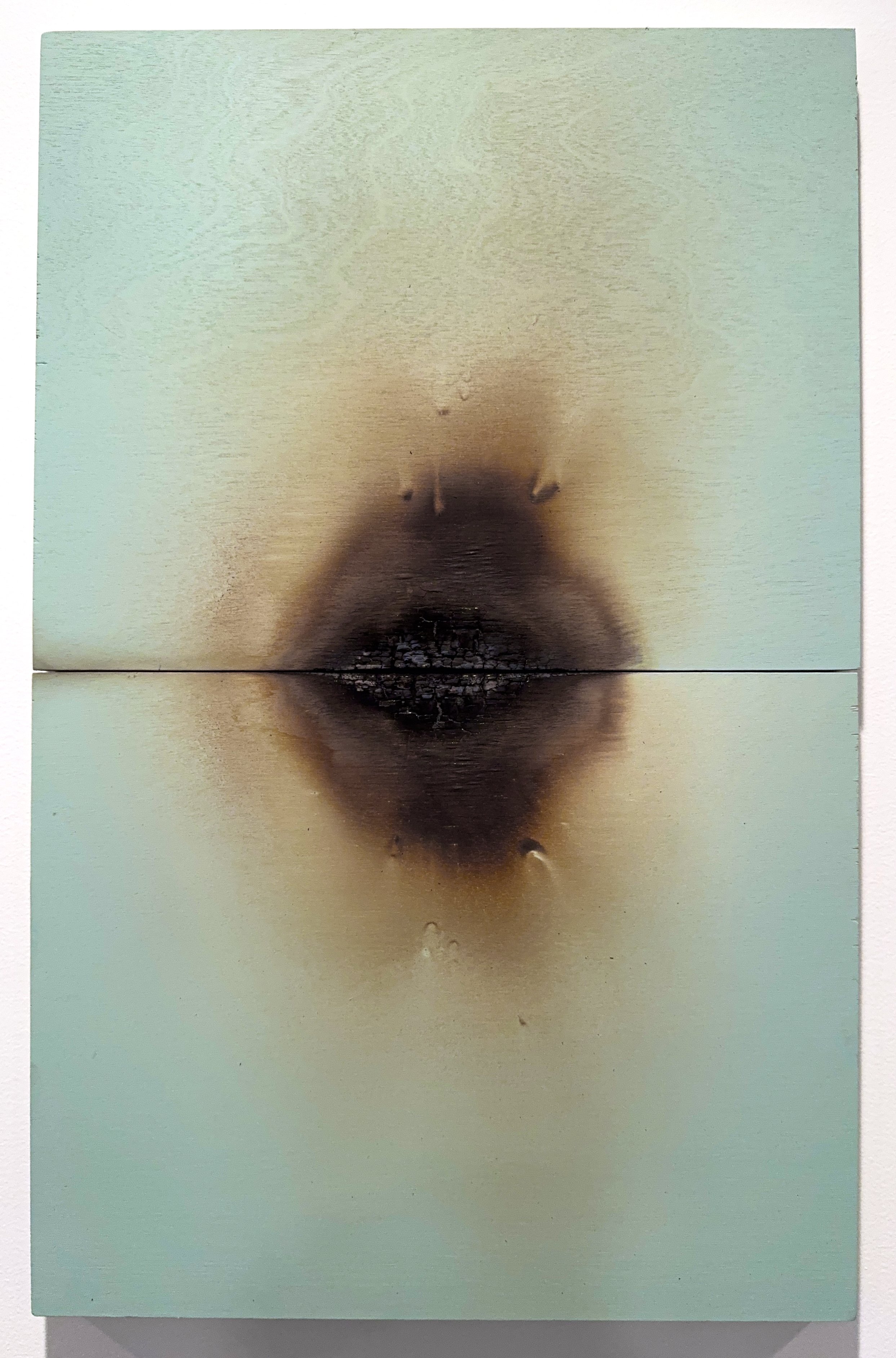 Subject to Change 22 2025 Acrylic paint and fire on wood panel, 22x14x3/4 inches