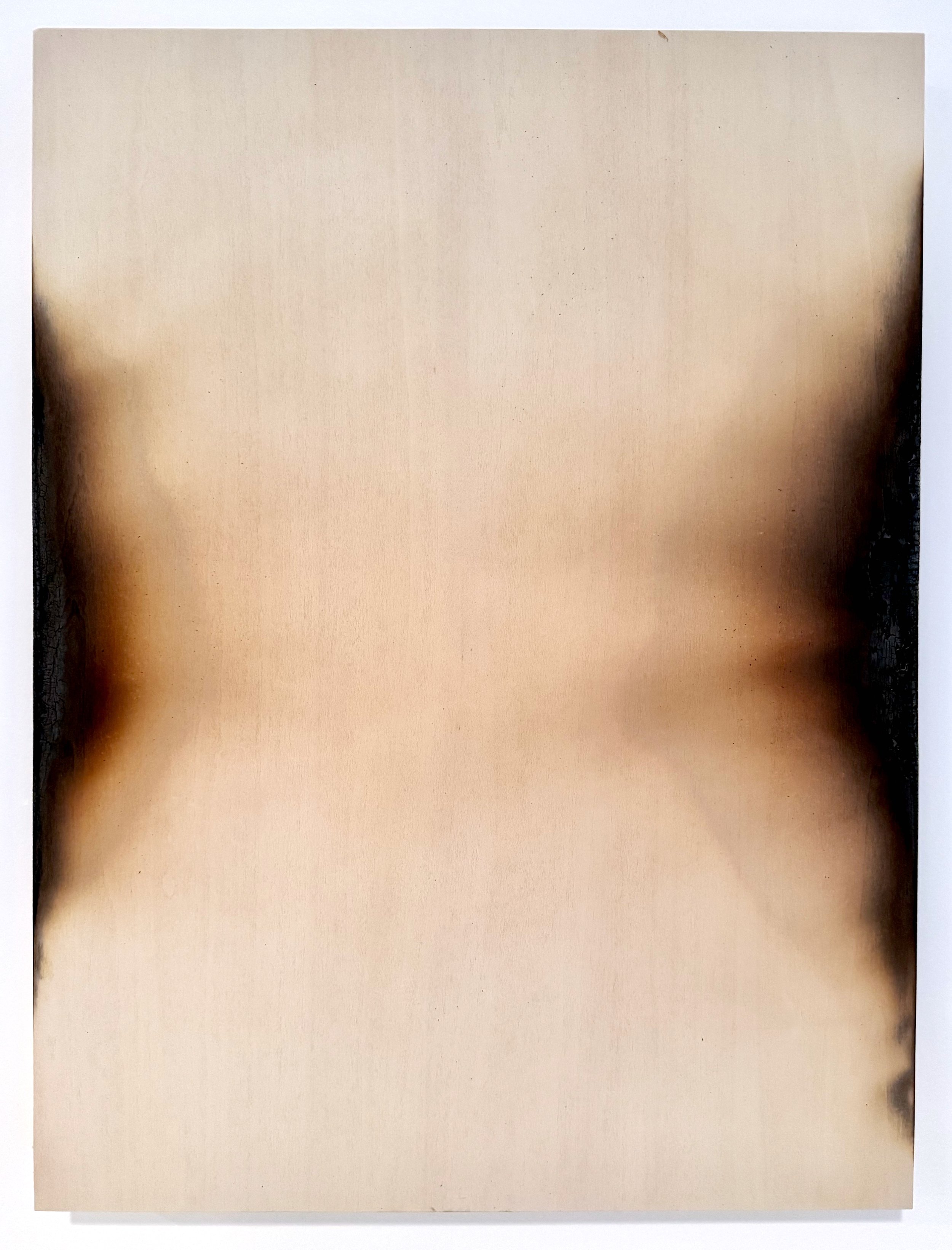 Subject to Change 12 2025 Acrylic paint and fire on wood panel, 24x18x1-5/8 inches