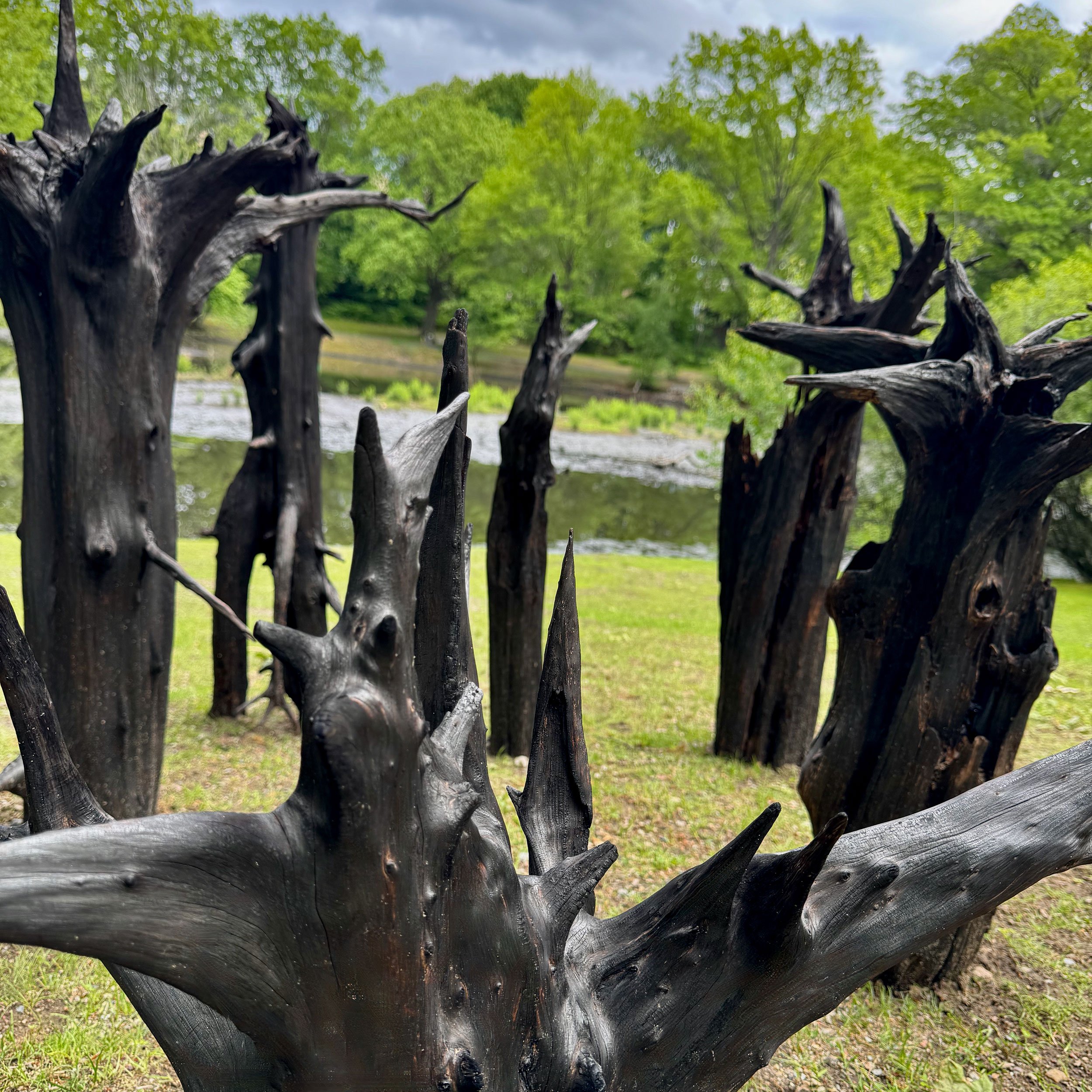 2025 Installation at Brookline Park, MA | Endurance | Fire on cedar root, variable dimensions