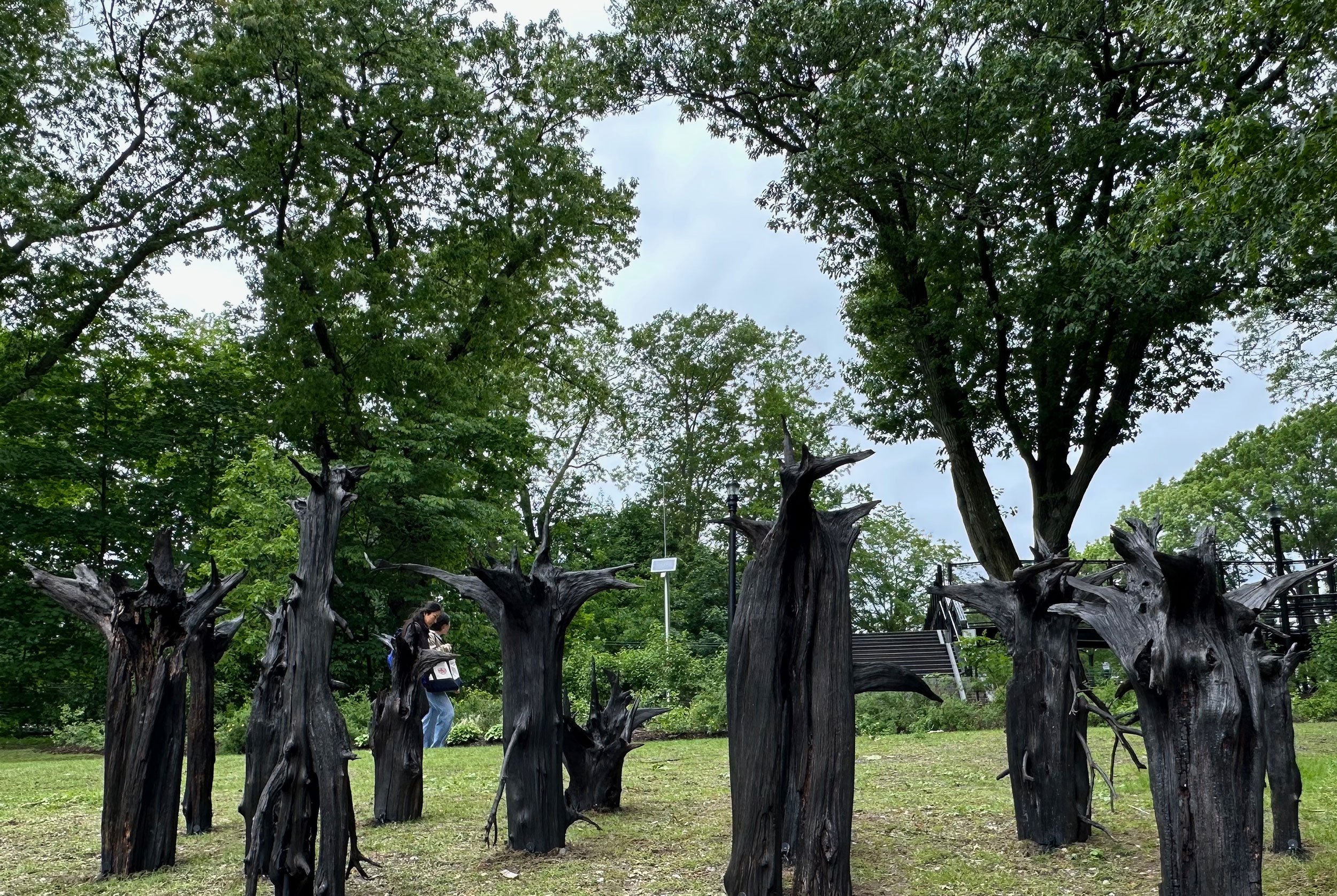 2025 Installation at Brookline Park, MA | Endurance | Fire on cedar root, variable dimensions