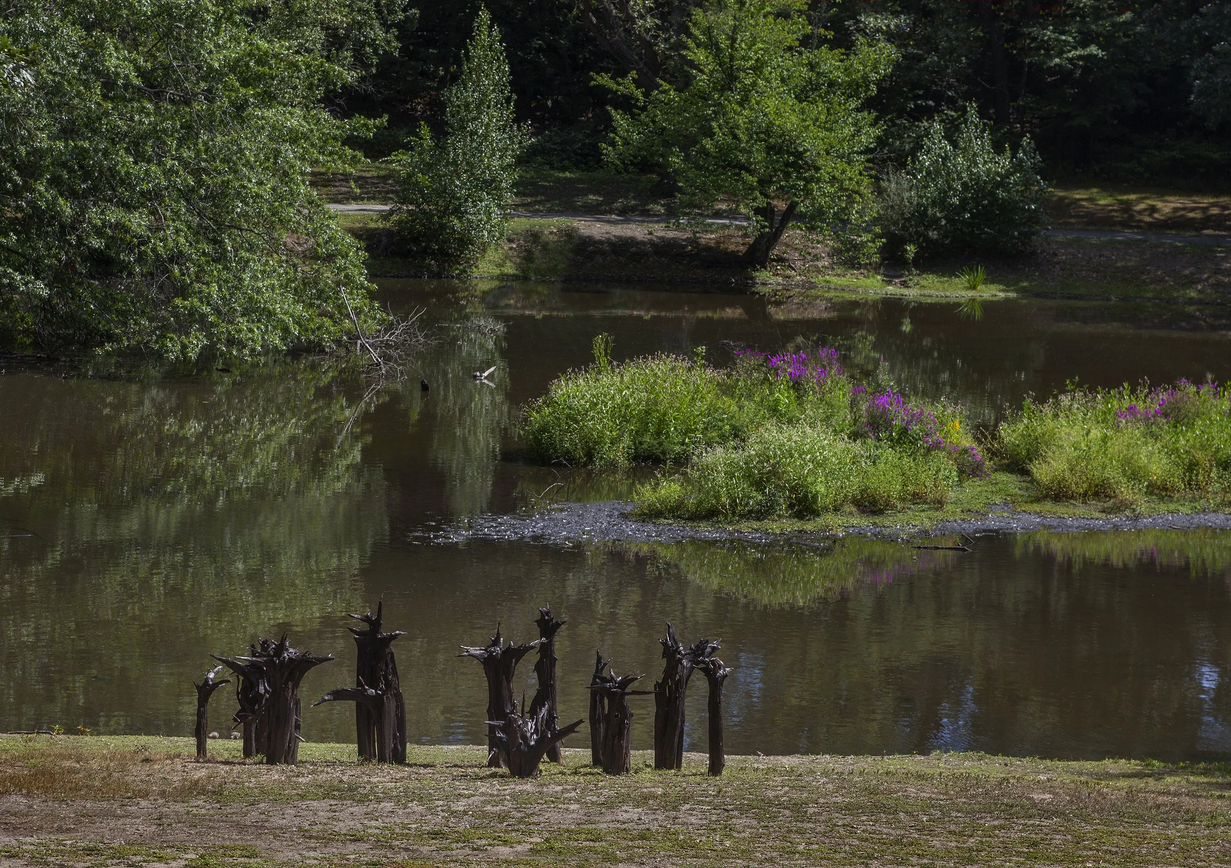 Twelve Root Installation 2025 | Fire on cedar root, variable dimensions