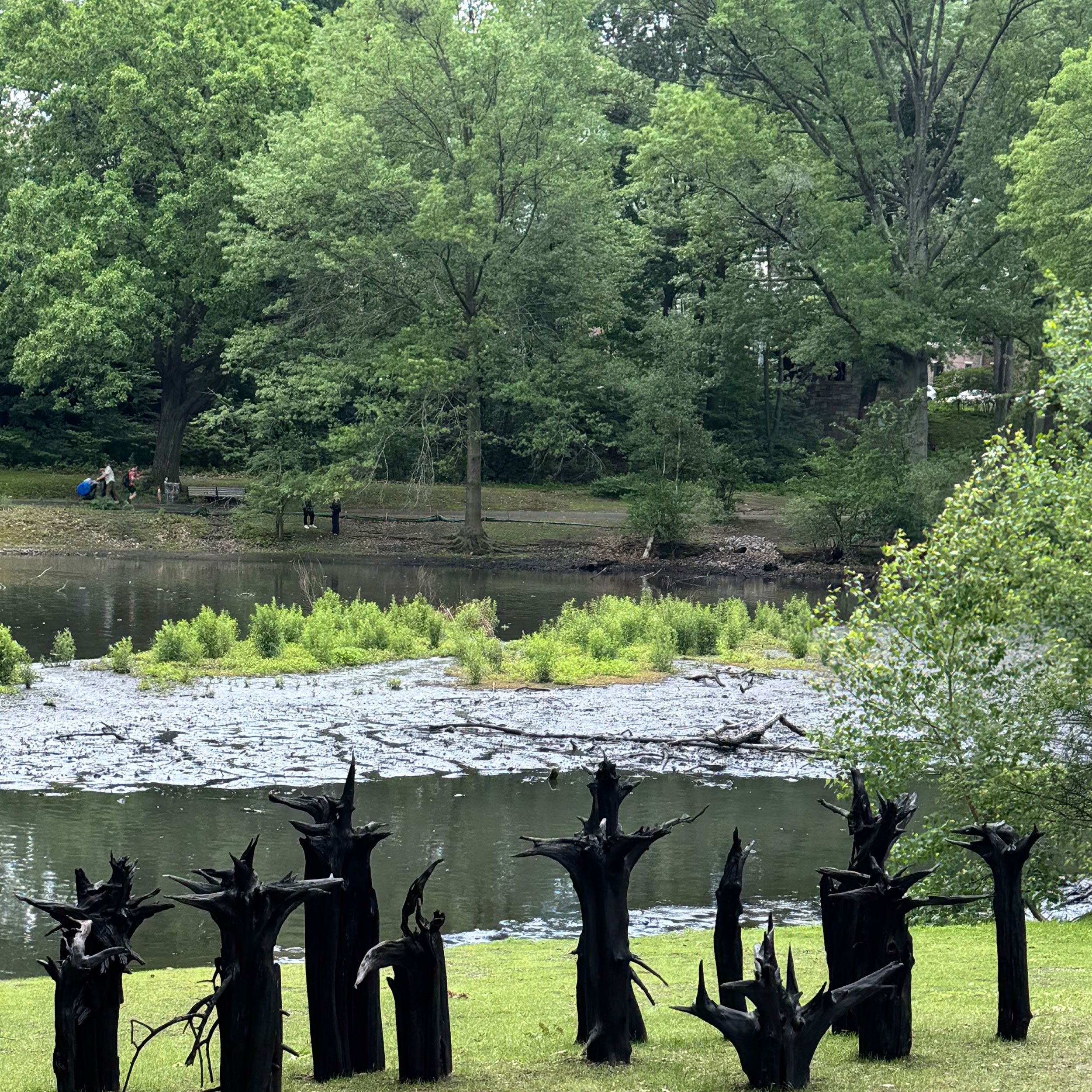 2025 Installation at Brookline Park, MA | Endurance | Fire on cedar root, variable dimensions