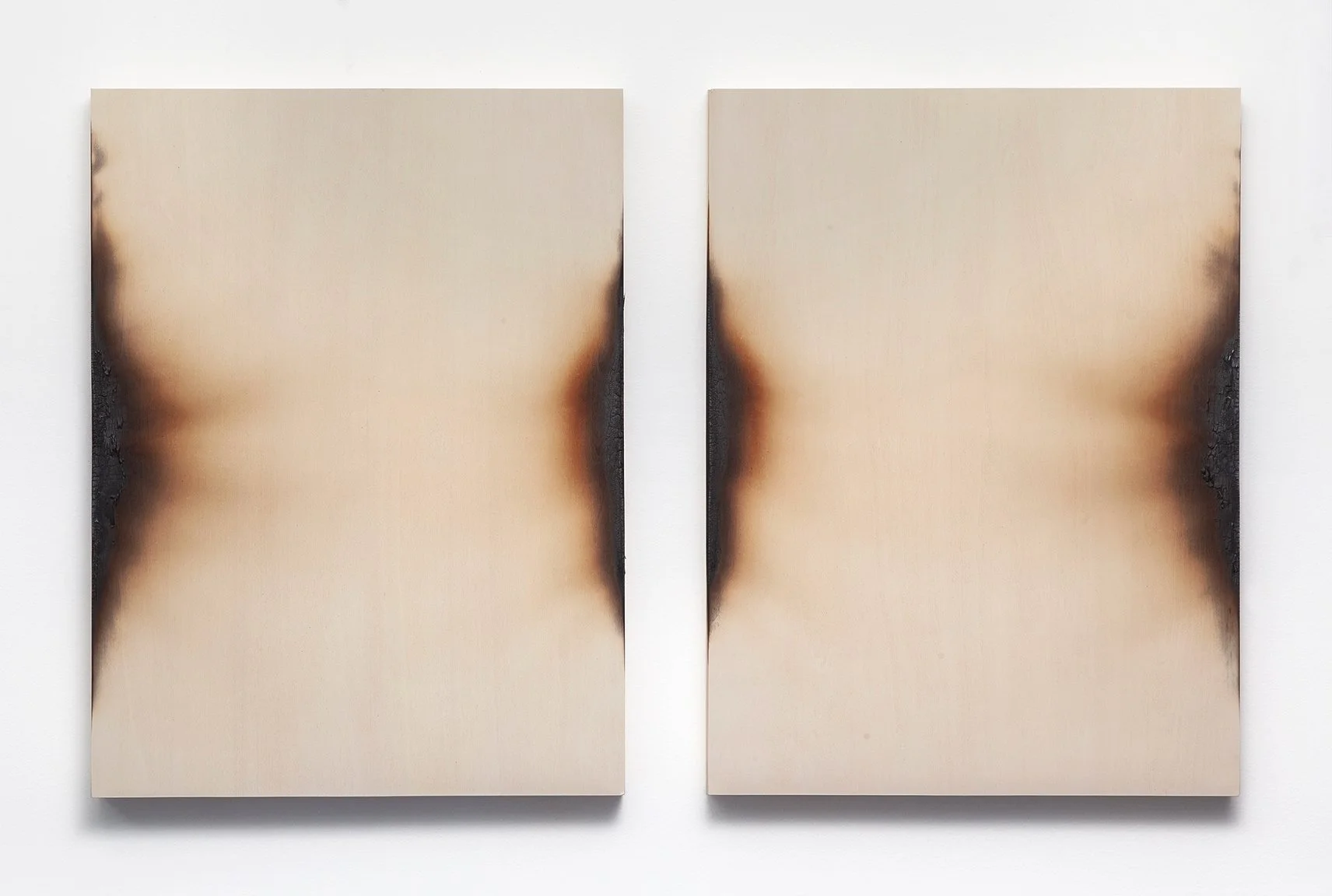 Edge Burns No. 2 2025 | Fire and acrylic on wood panels, 24 x 38 inches