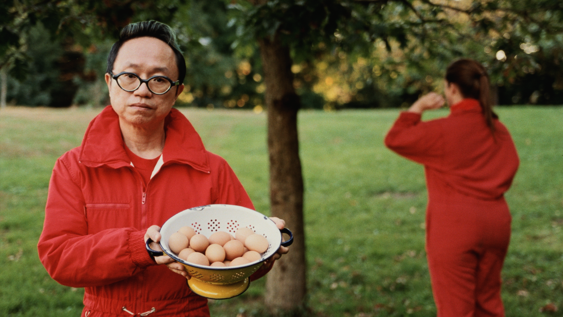 GRACE REX / THE NUMBER OF TIMES I NUMBERED THE NUMBER OF TIMES