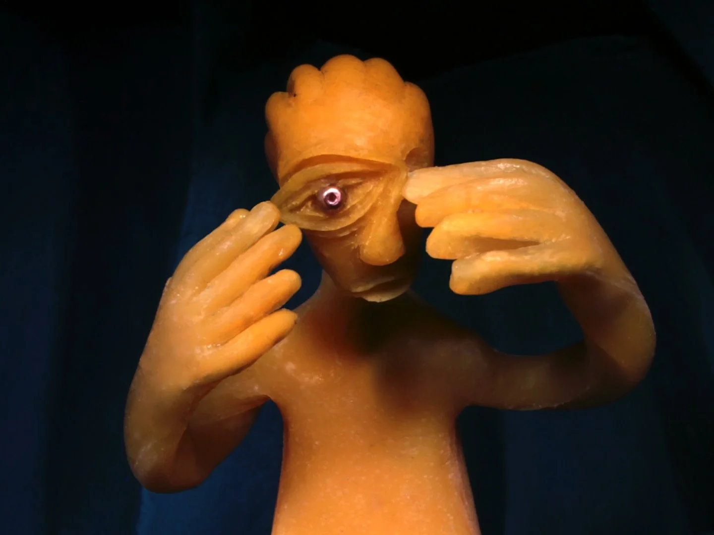 FRUCTUS FLIEGUS dir. EMILIA ZIESER