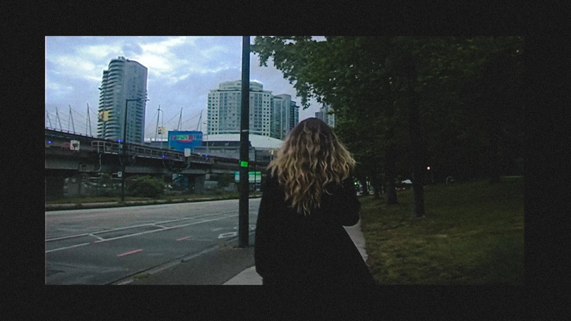 ZACK FOCKER // SPRING