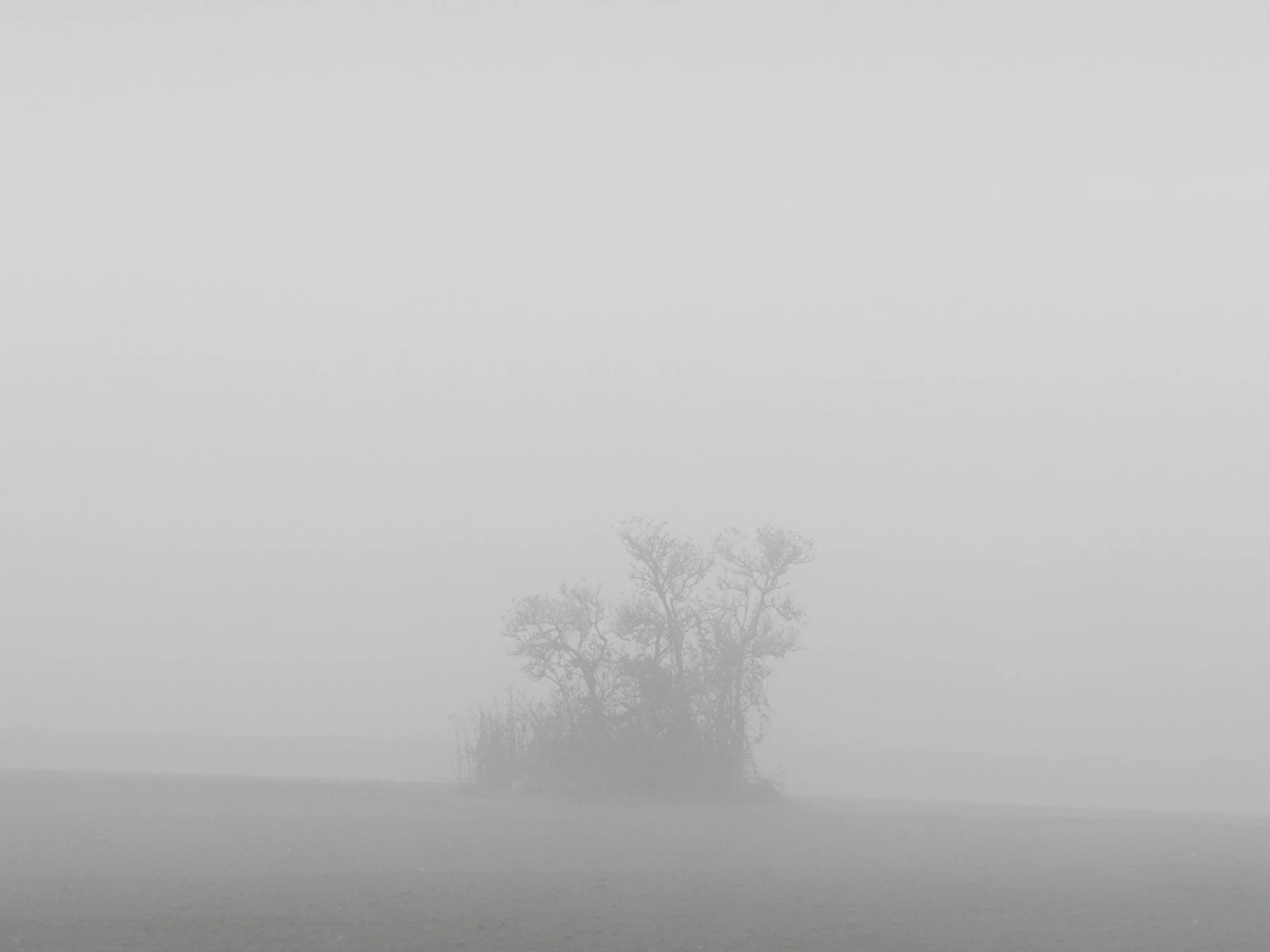 MONTE KALI dir. JOZEFIEN VAN DER AELST