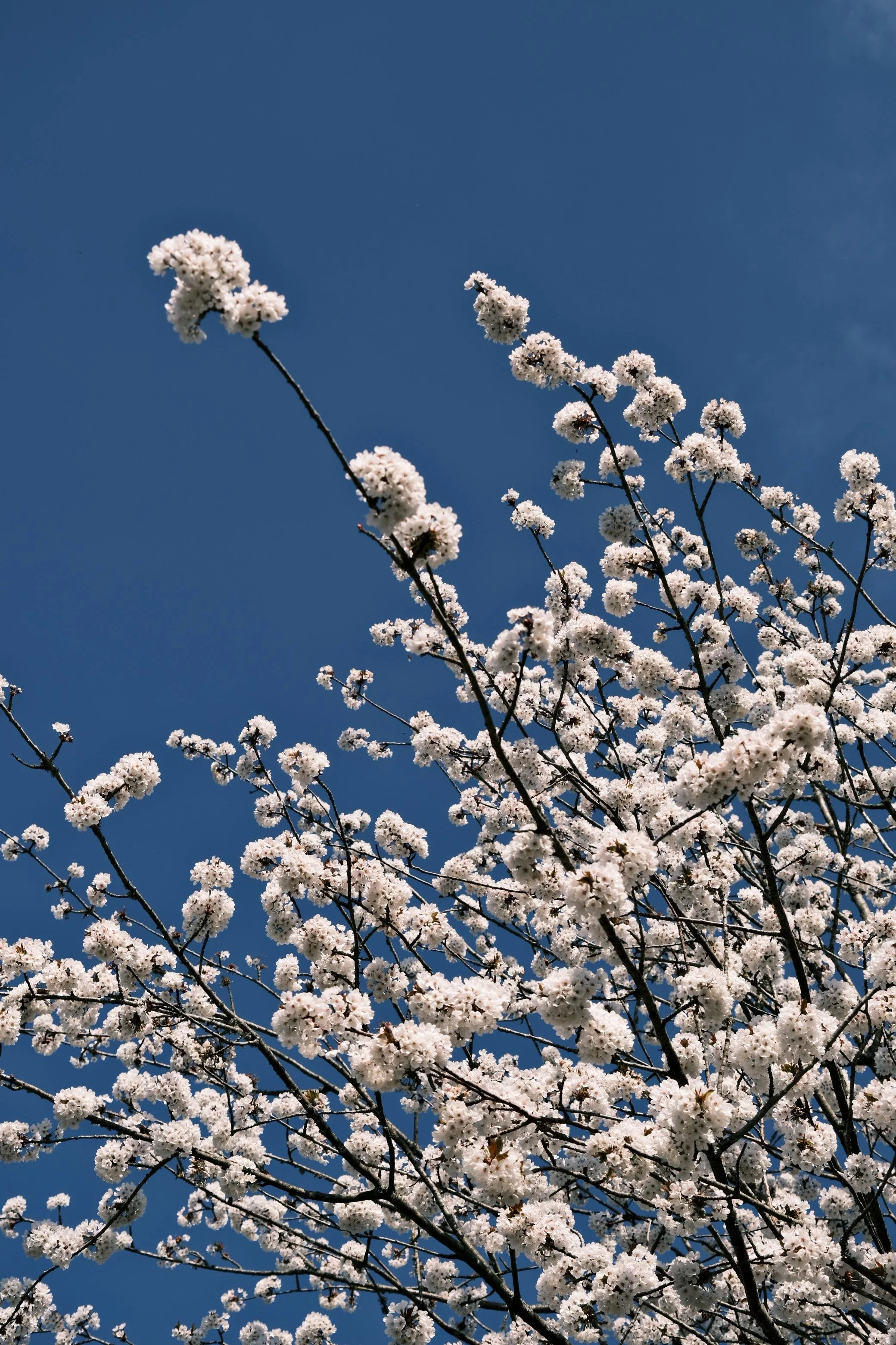 WhatsApp Image 2025-12-17 at 16.11.40 (9).jpeg