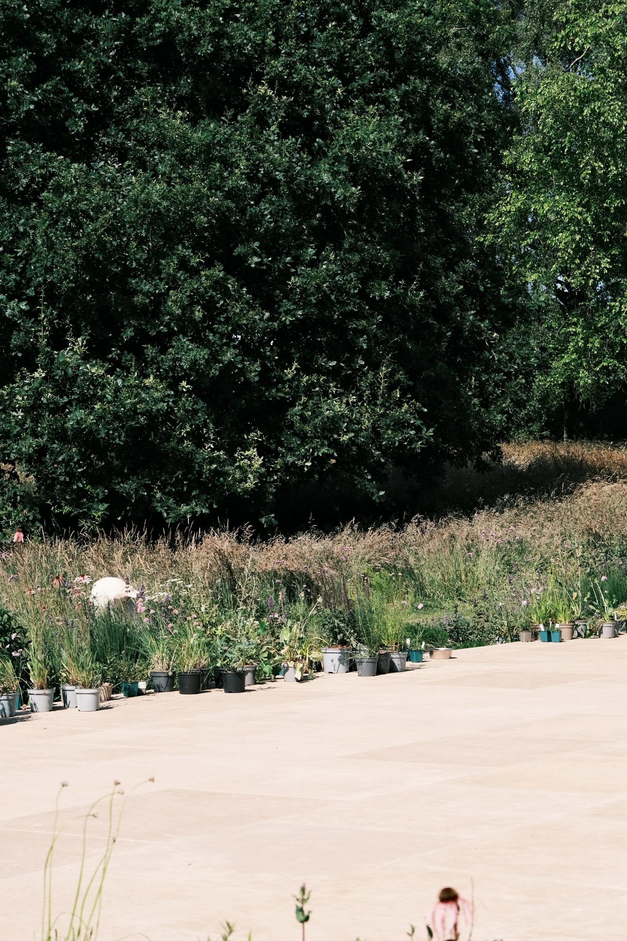 WhatsApp Image 2025-12-17 at 16.14.53 (1).jpeg