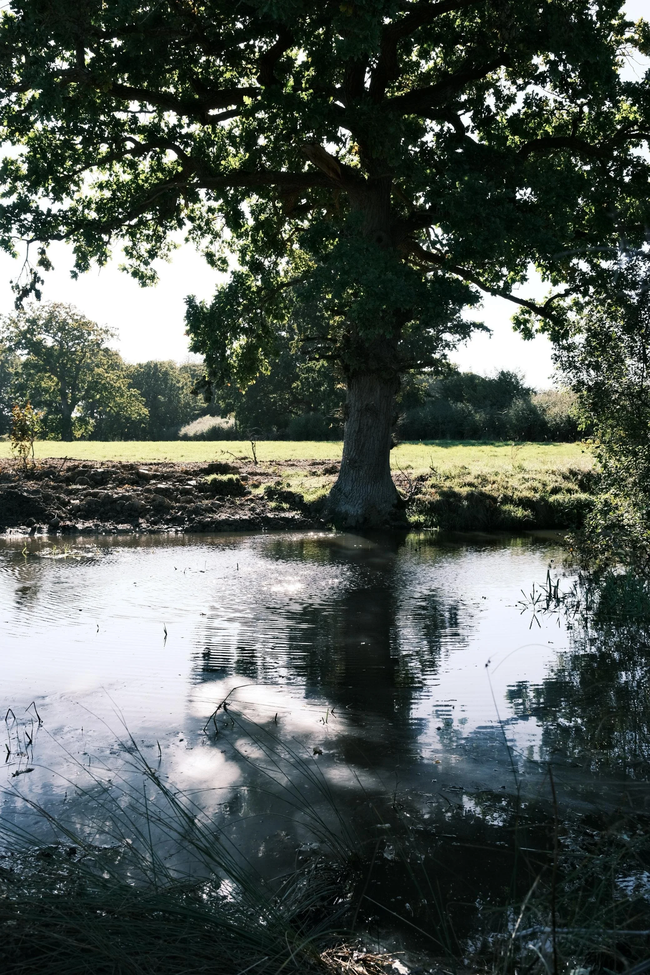 WhatsApp Image 2025-12-17 at 16.05.03.jpeg