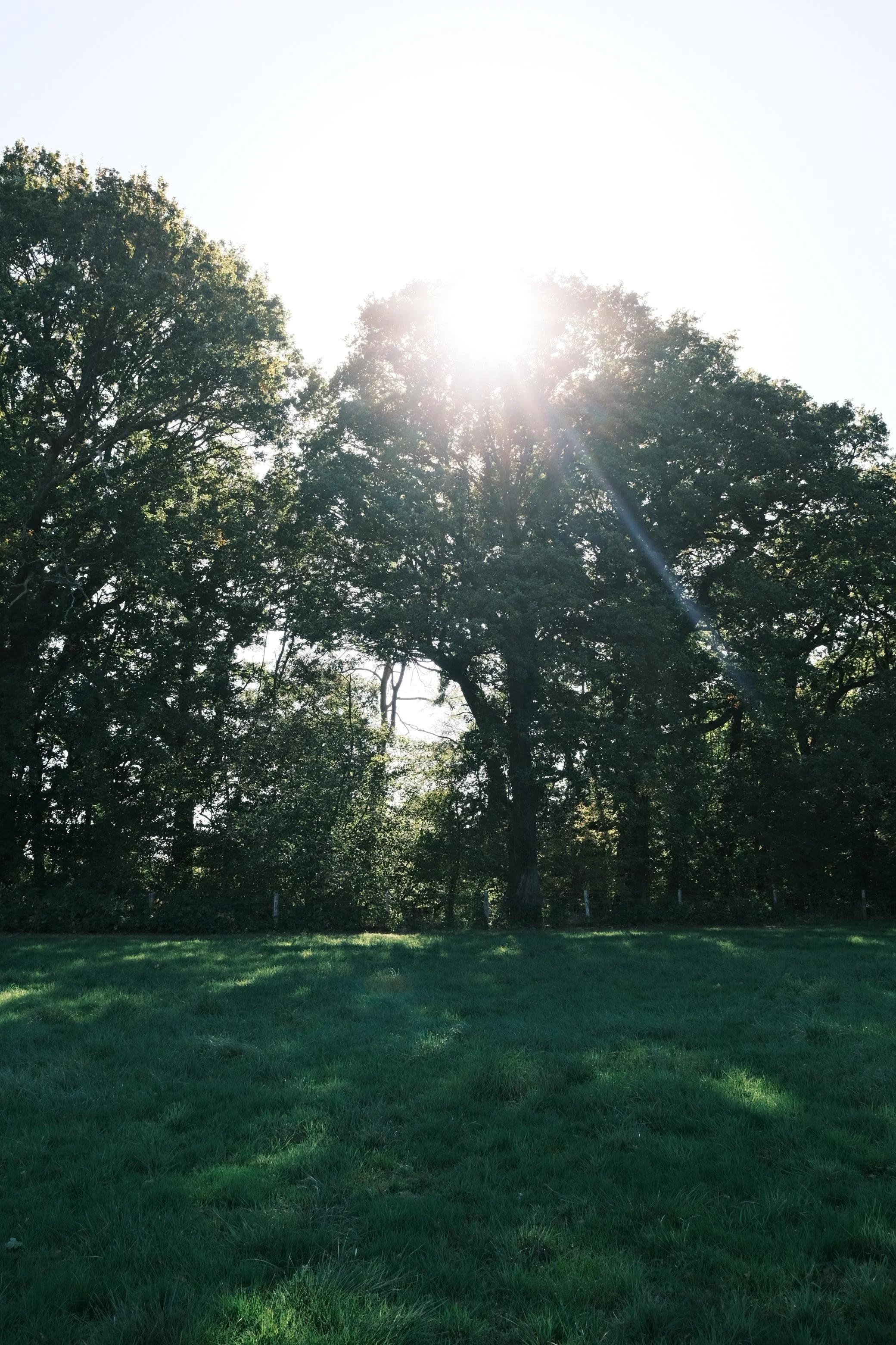 WhatsApp Image 2025-12-17 at 16.05.03-3.jpeg