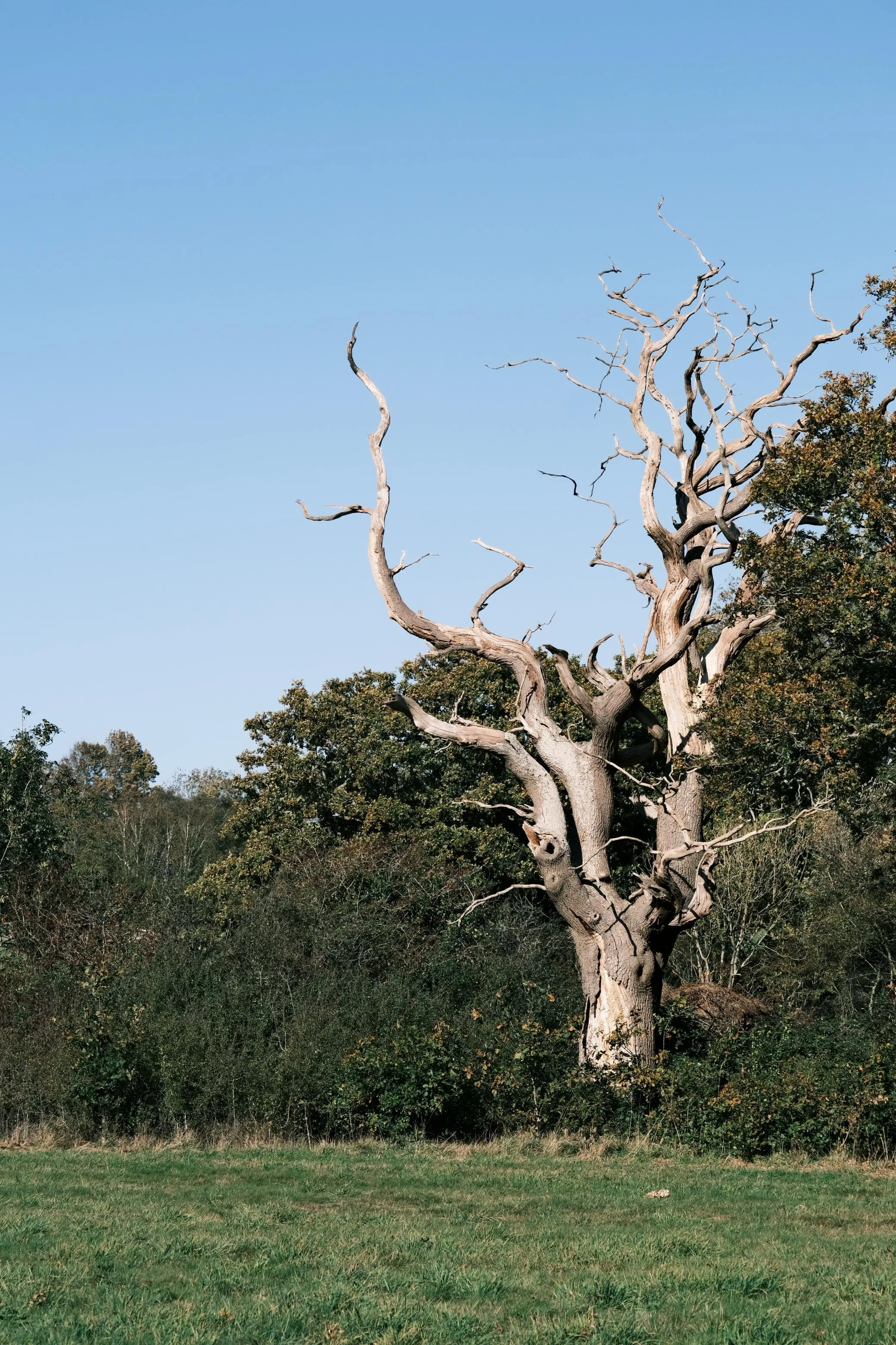 WhatsApp Image 2025-12-17 at 16.05.03-2.jpeg