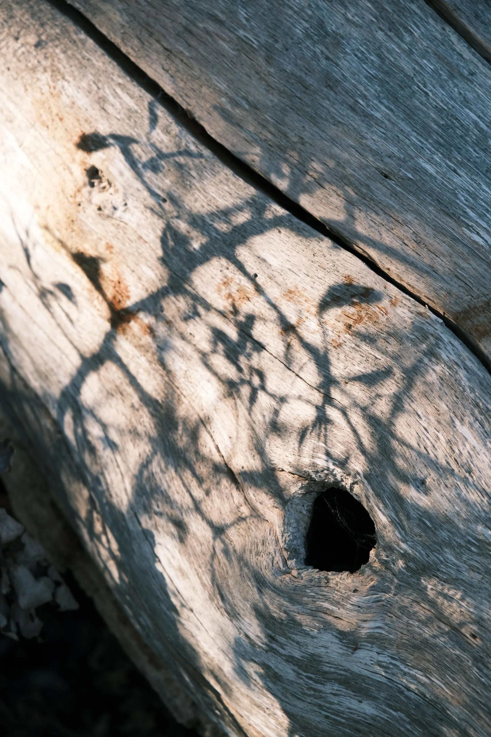 WhatsApp Image 2025-12-17 at 16.05.03-5.jpeg