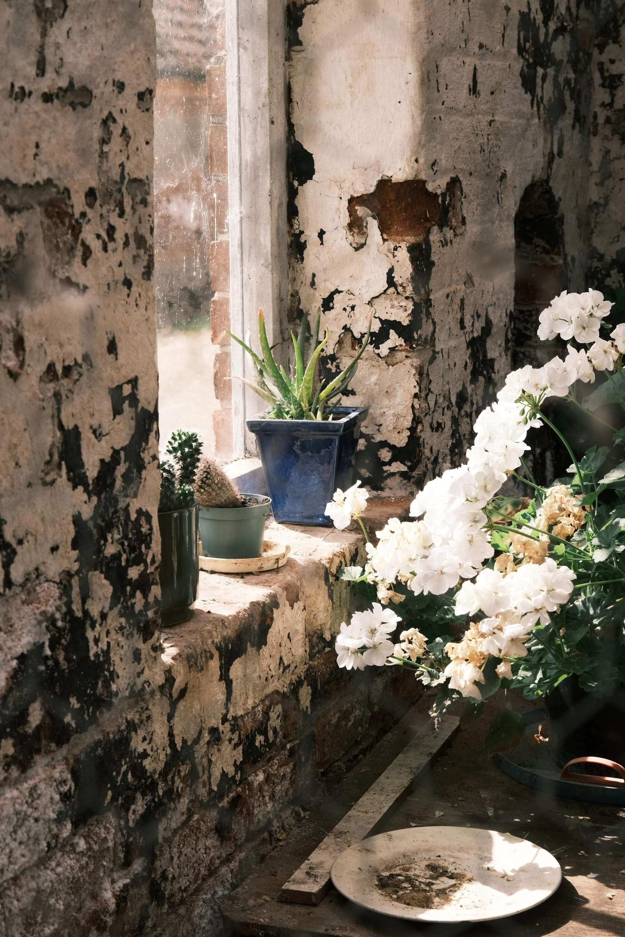 WhatsApp Image 2025-12-17 at 16.12.03-5.jpeg