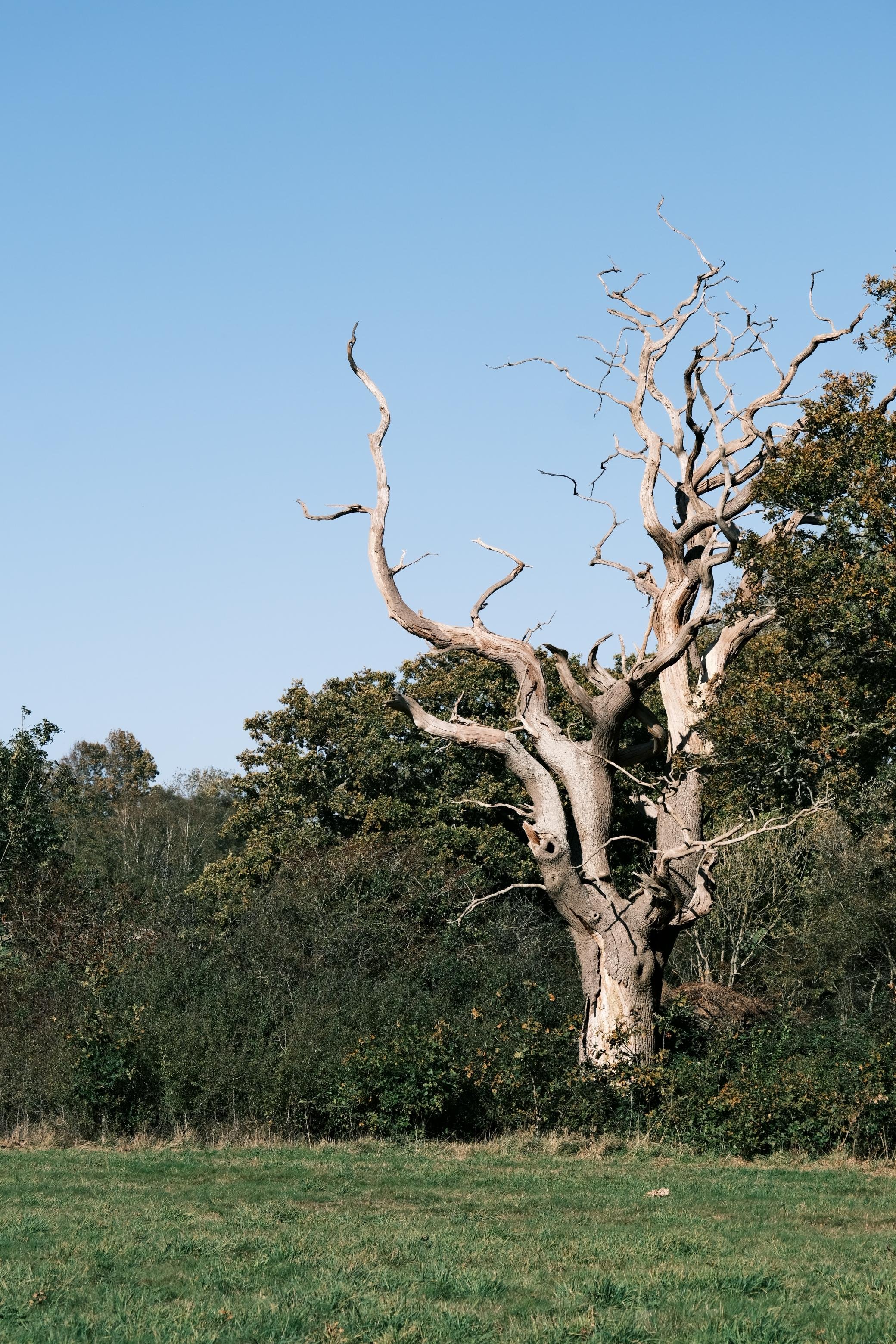 WhatsApp Image 2025-12-17 at 16.12.03-4.jpeg