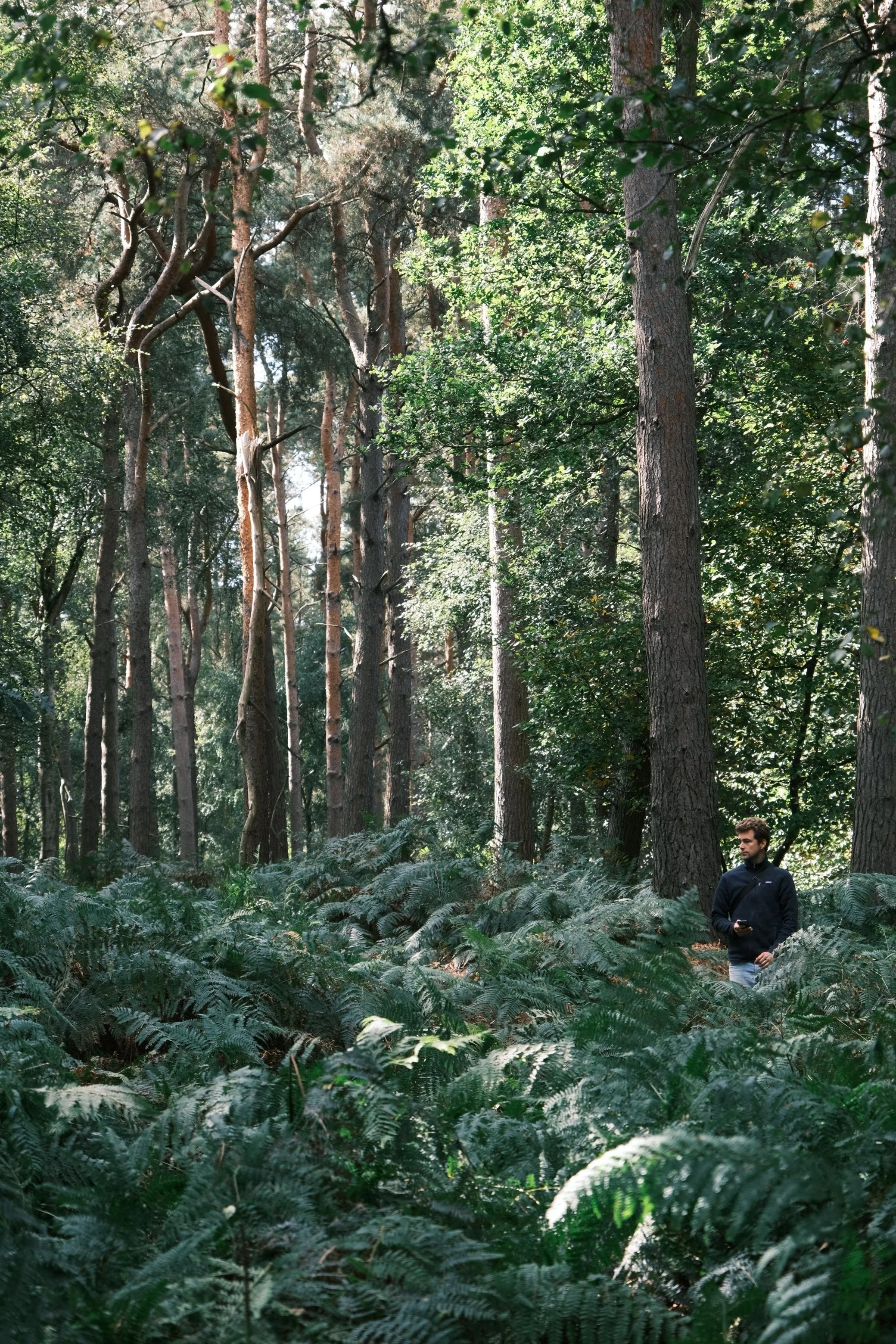 WhatsApp Image 2025-12-17 at 16.12.54-2.jpeg