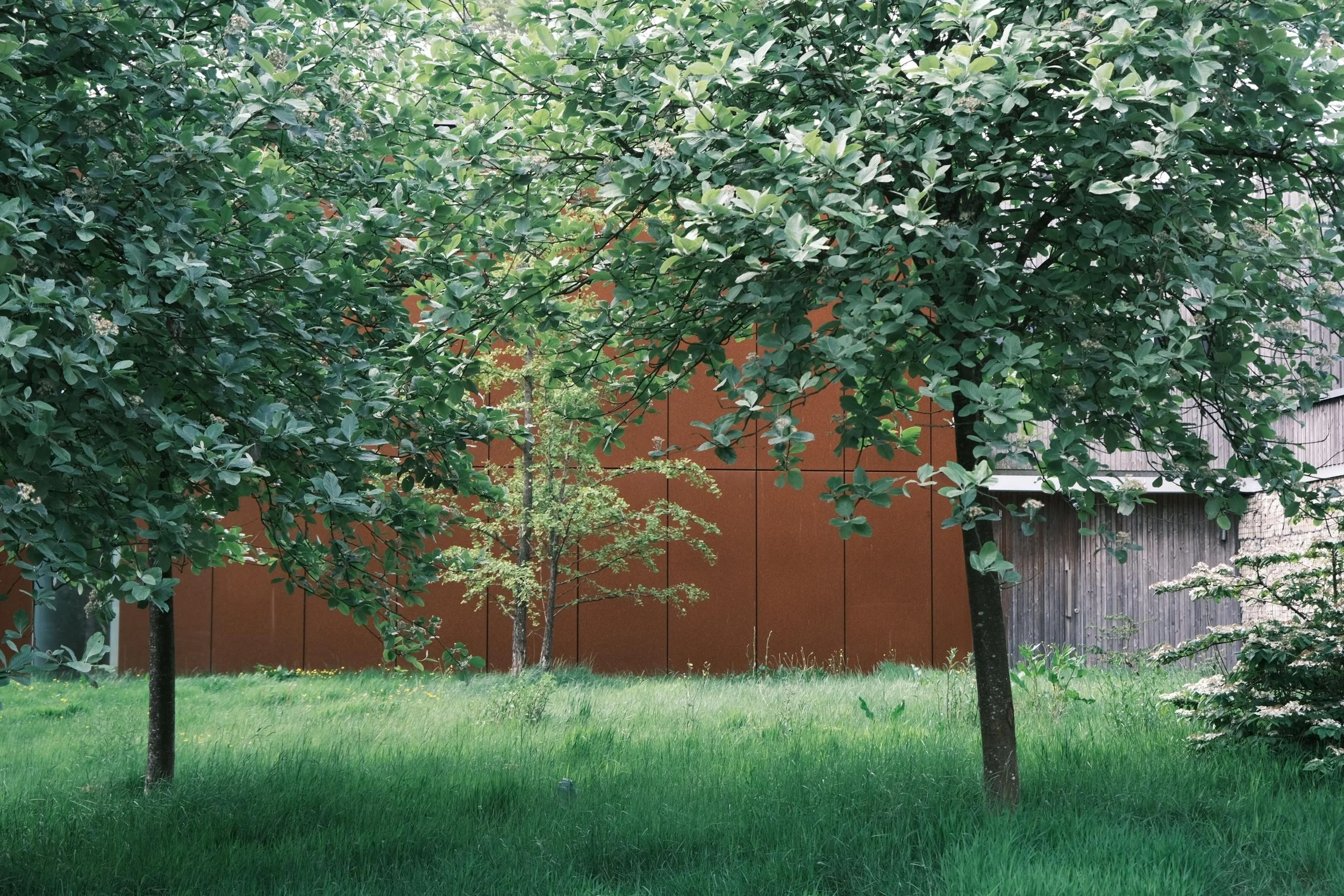 WhatsApp Image 2025-12-17 at 16.14.53-4.jpeg