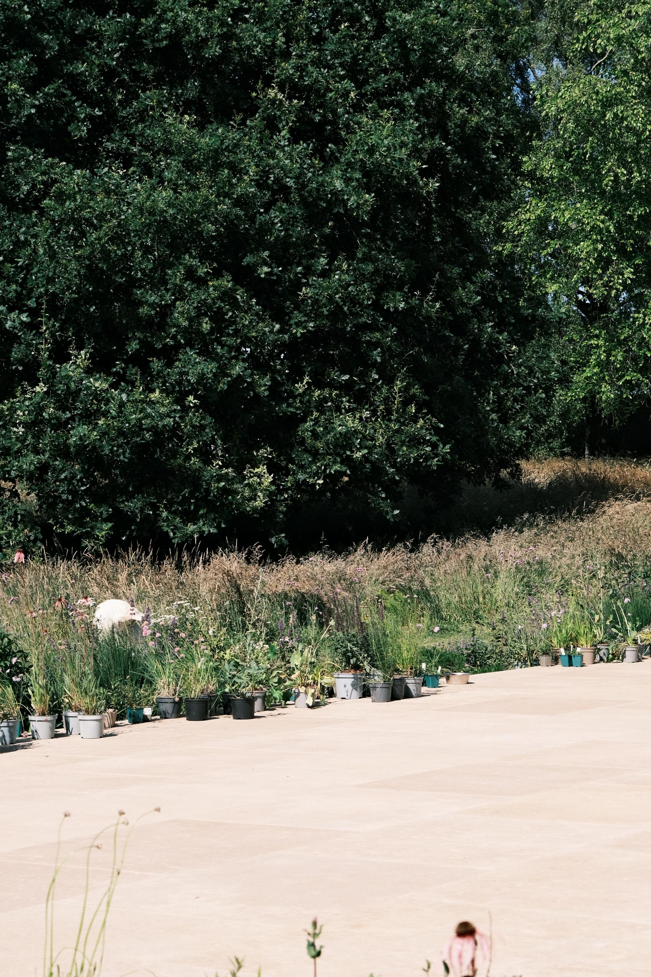 WhatsApp Image 2025-12-17 at 16.14.53-11.jpeg