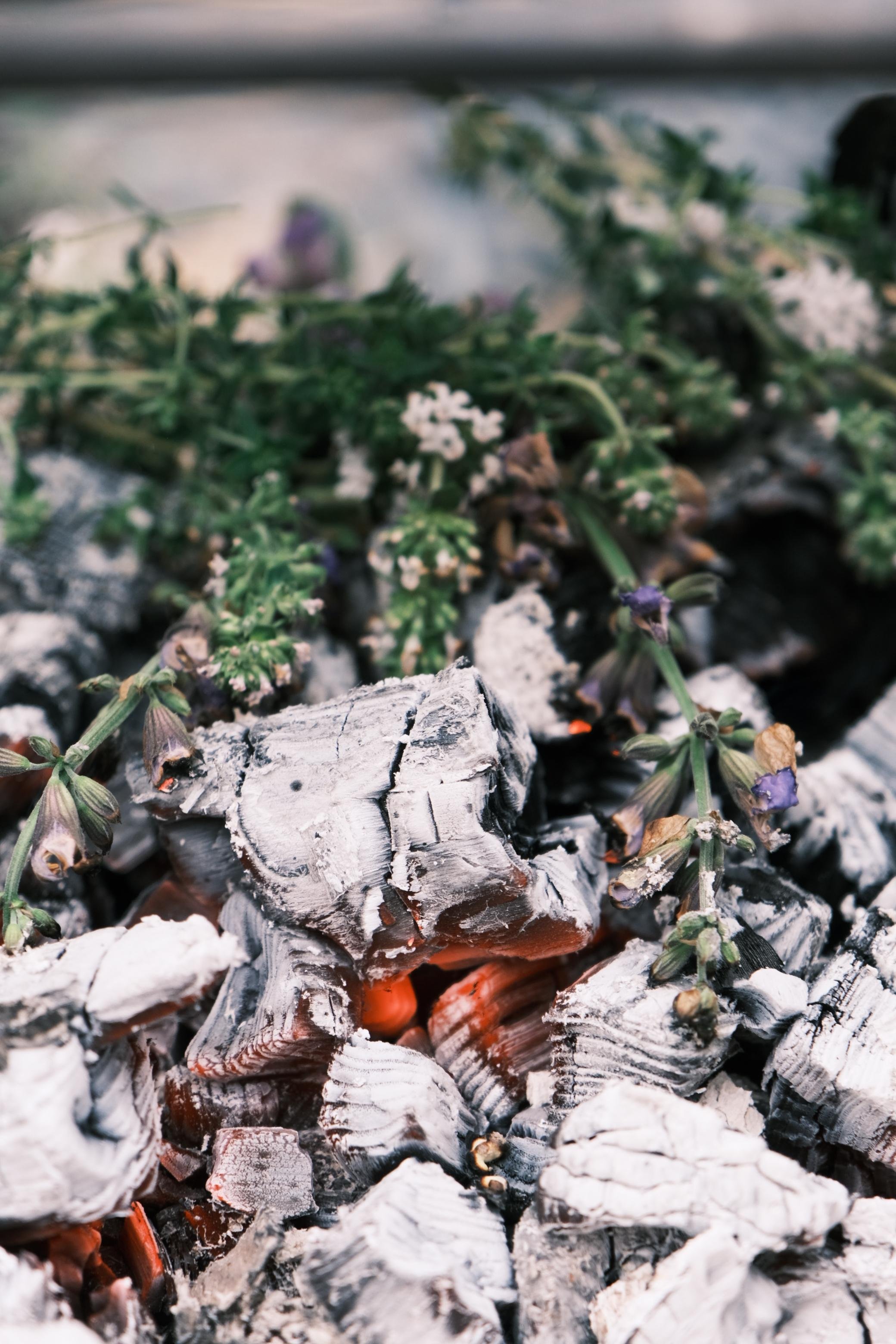 WhatsApp Image 2025-12-17 at 16.07.49-2.jpeg