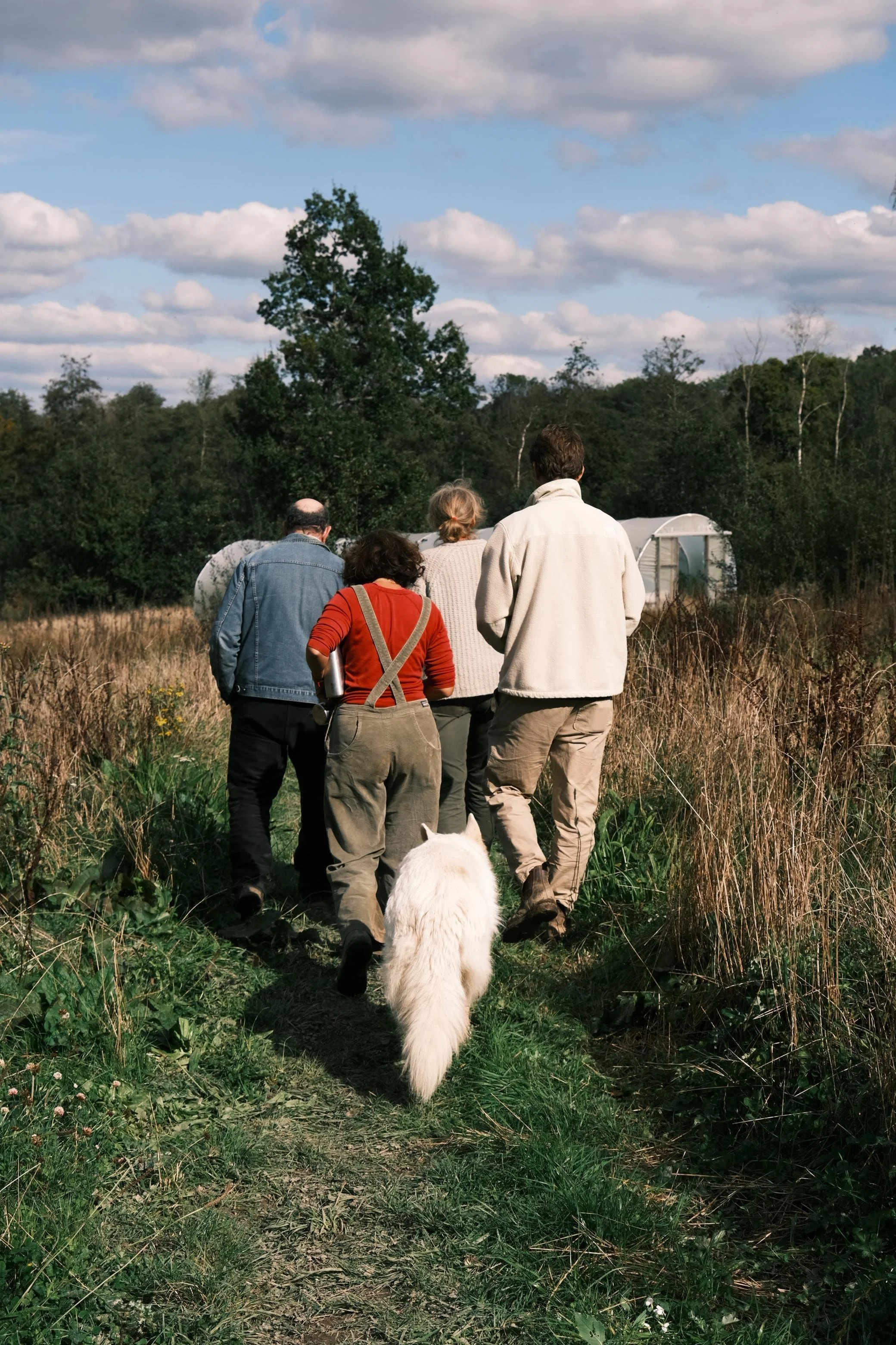 WhatsApp Image 2025-12-17 at 16.07.53-5.jpeg