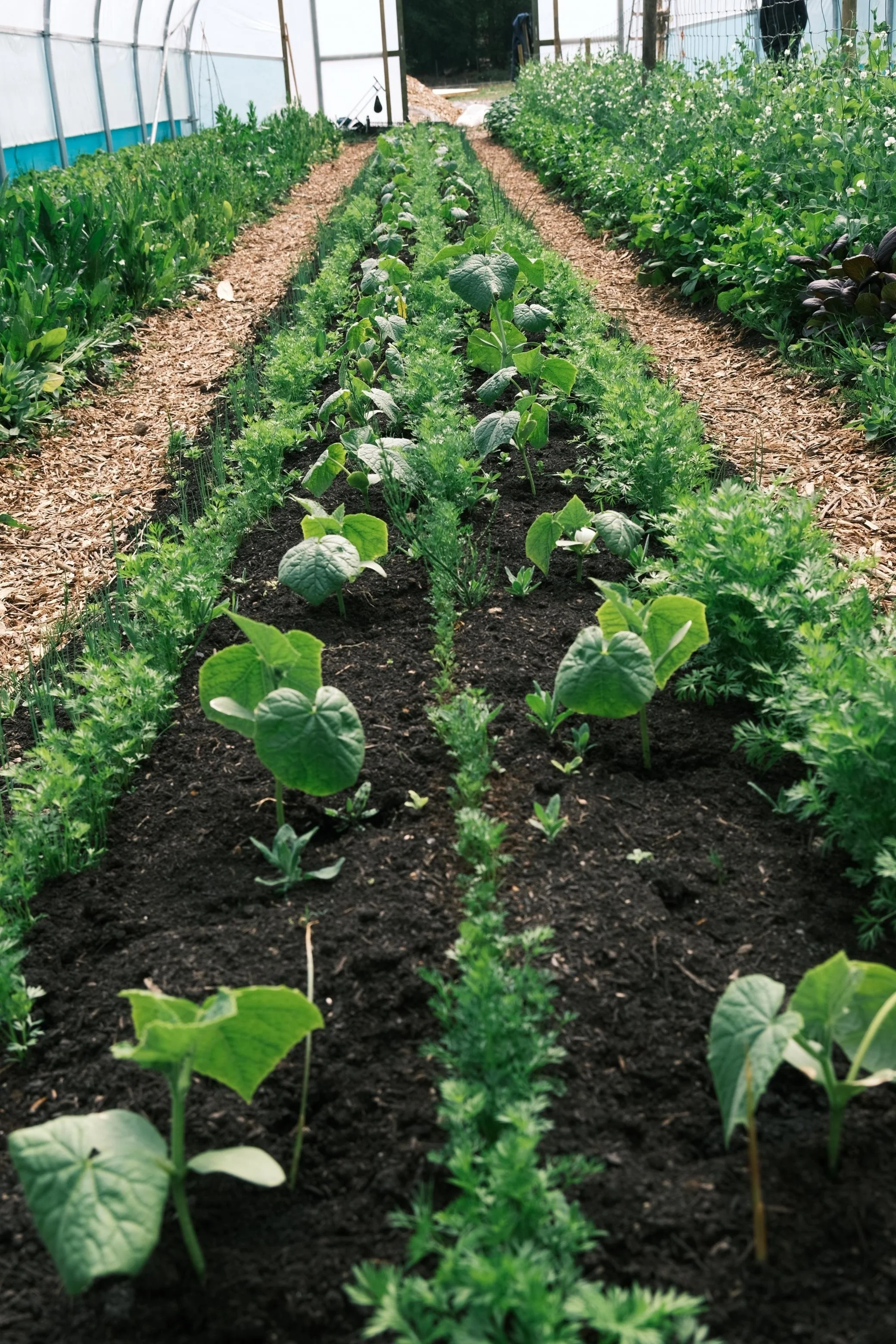 WhatsApp Image 2025-12-17 at 16.07.54-13.jpeg