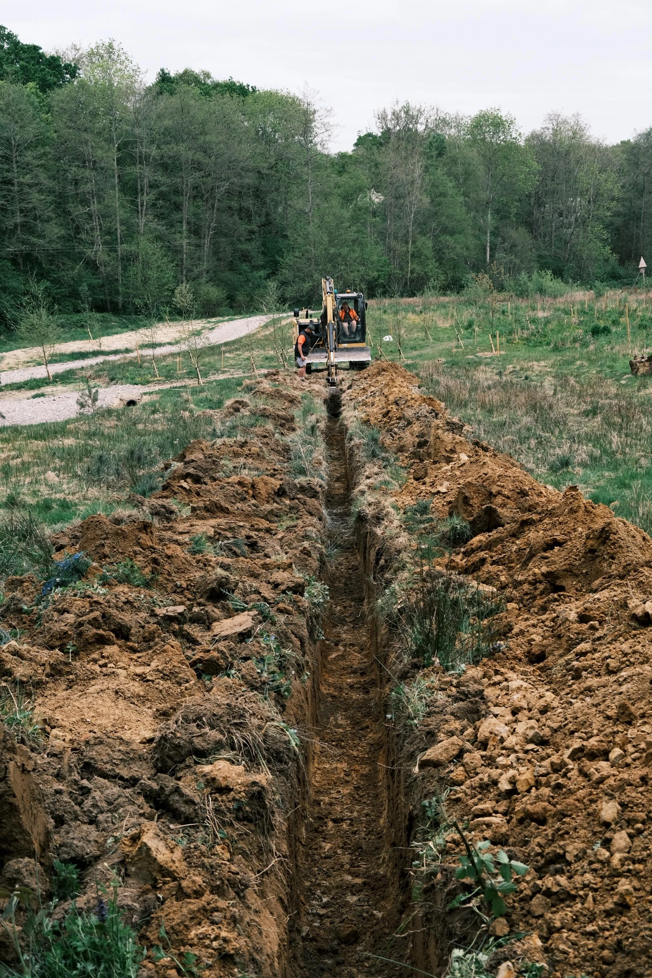 WhatsApp Image 2025-12-17 at 16.07.54-12.jpeg