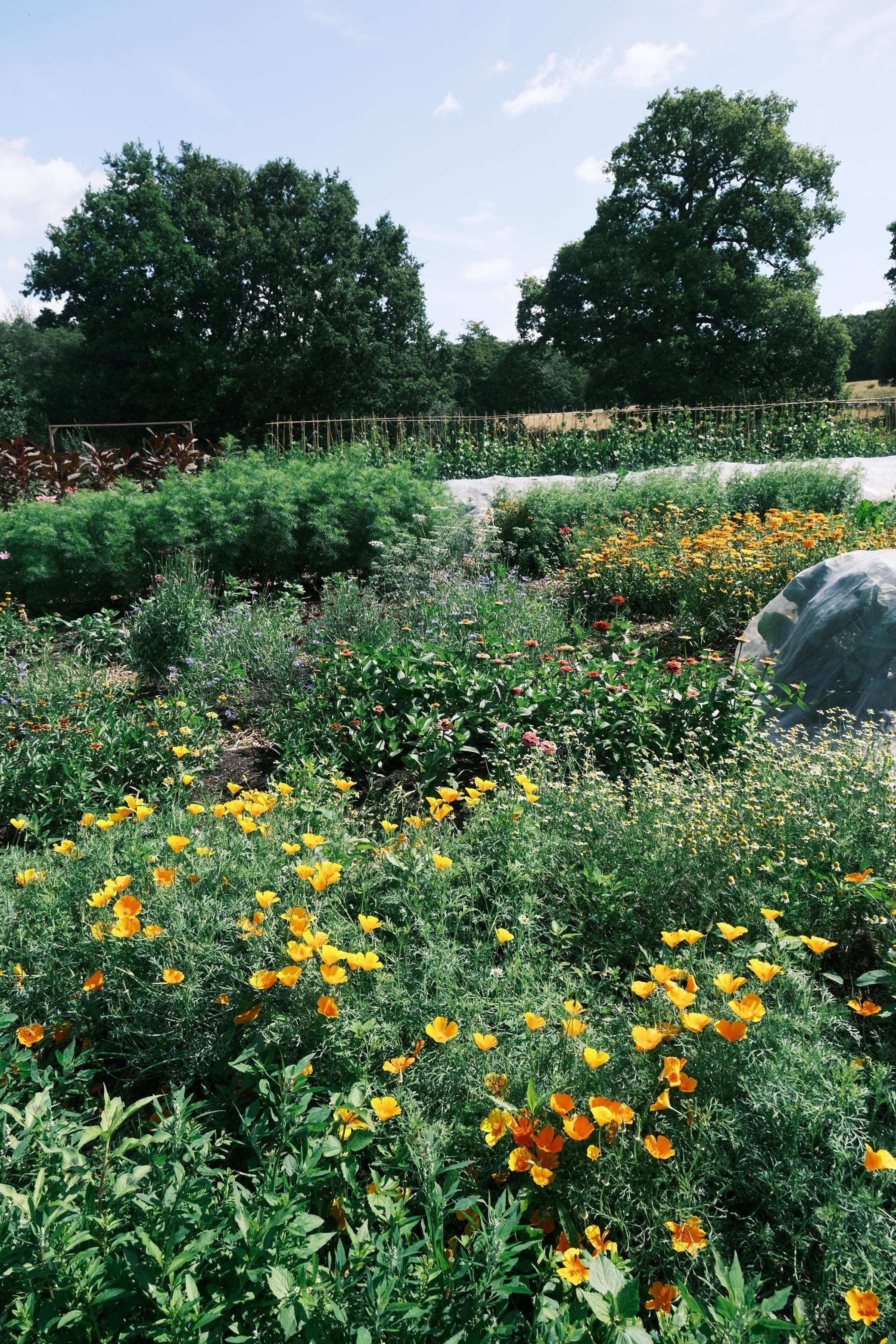 WhatsApp Image 2025-12-17 at 16.07.54-19.jpeg