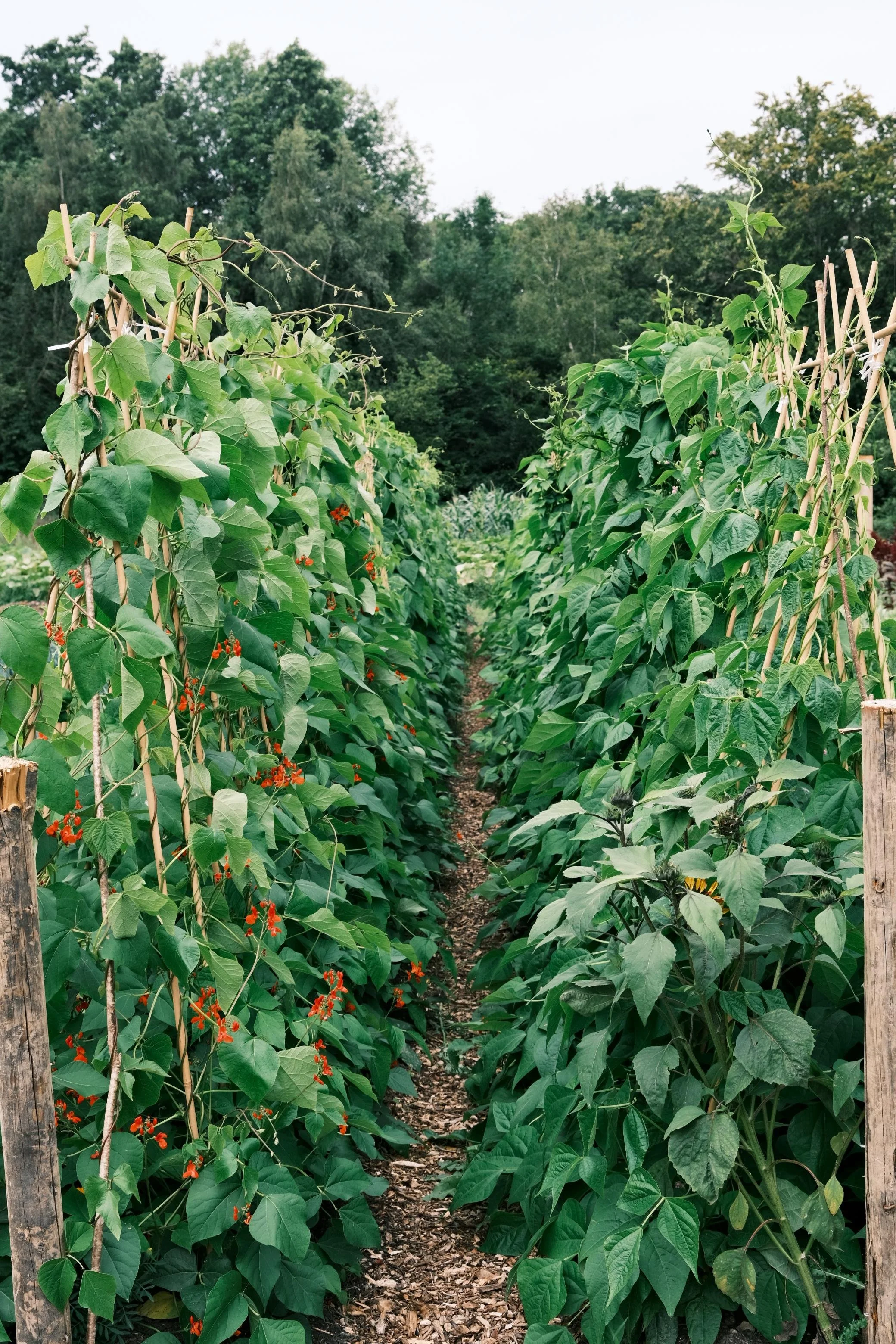 WhatsApp Image 2025-12-17 at 16.07.54-20.jpeg