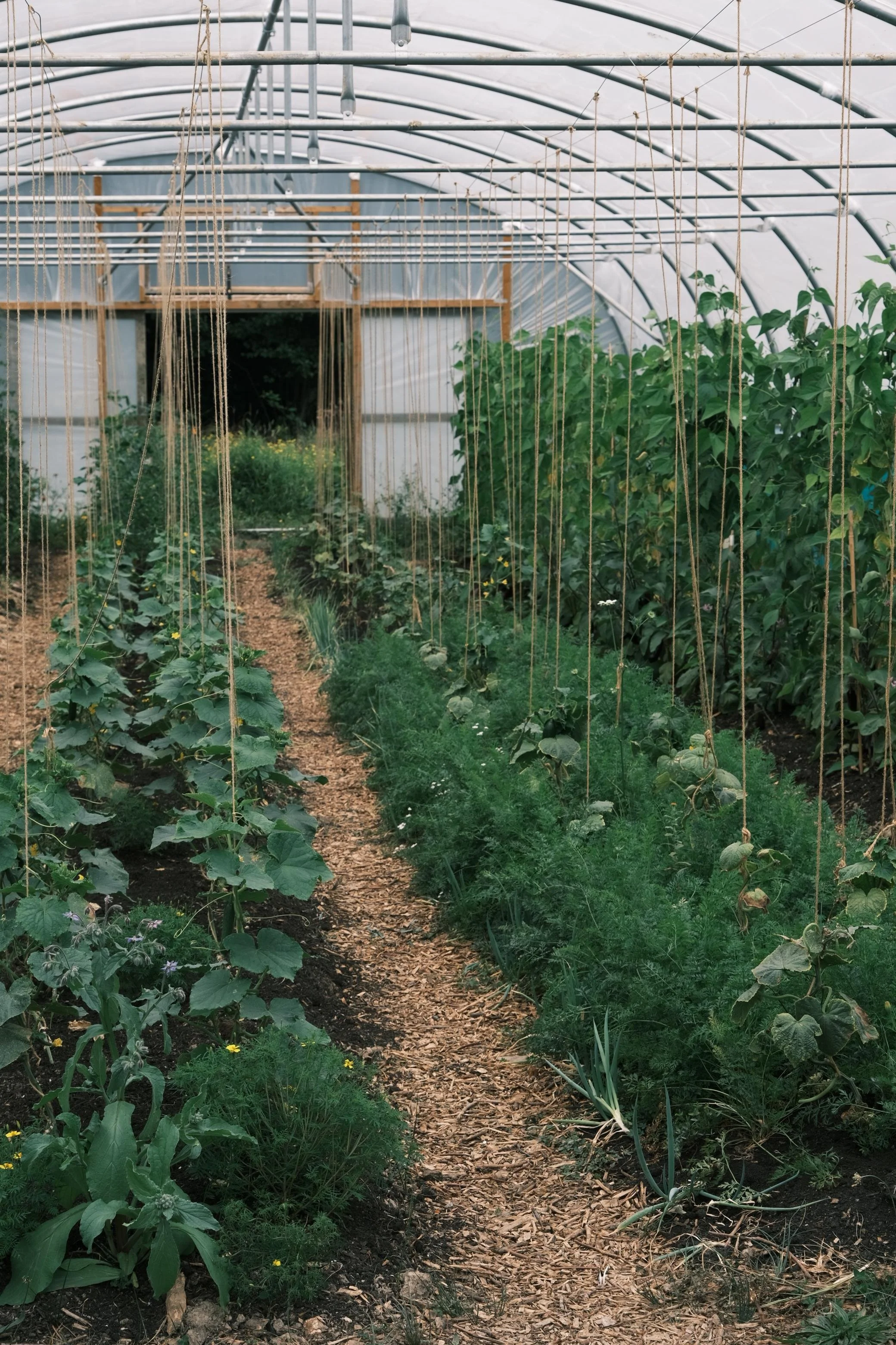 WhatsApp Image 2025-12-17 at 16.07.54-22.jpeg