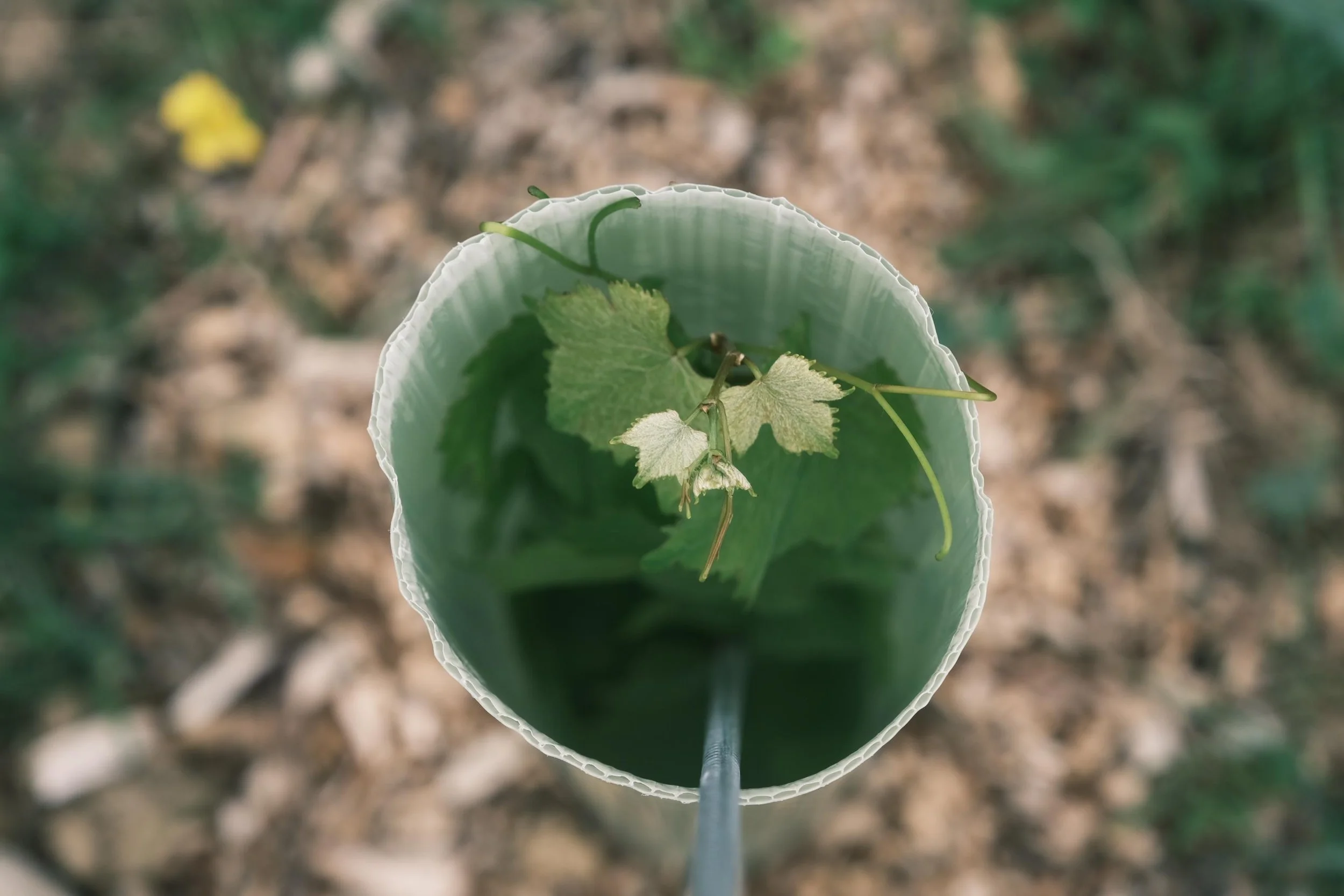 WhatsApp Image 2025-12-17 at 16.11.40-2.jpeg