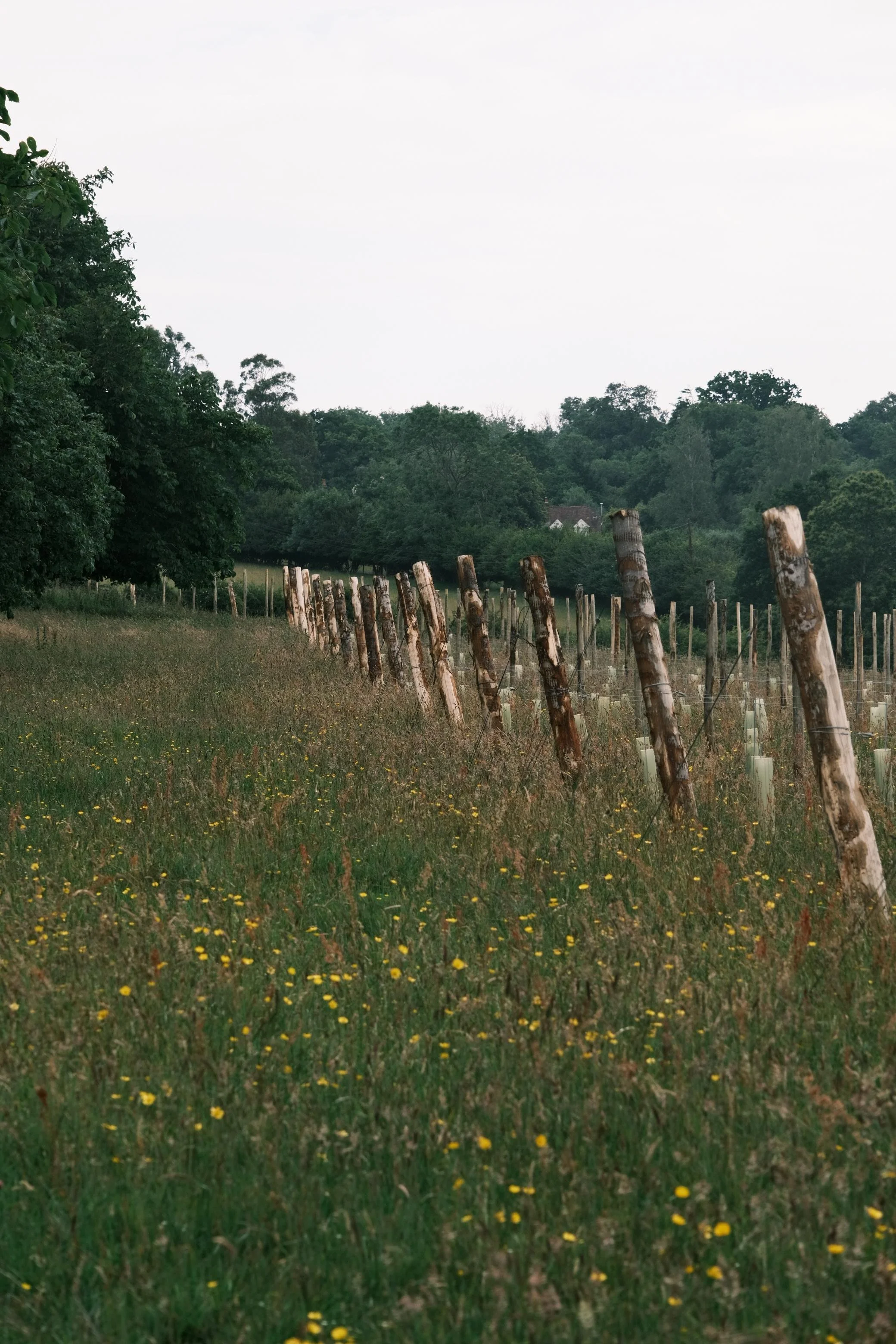 WhatsApp Image 2025-12-17 at 16.11.40-1.jpeg