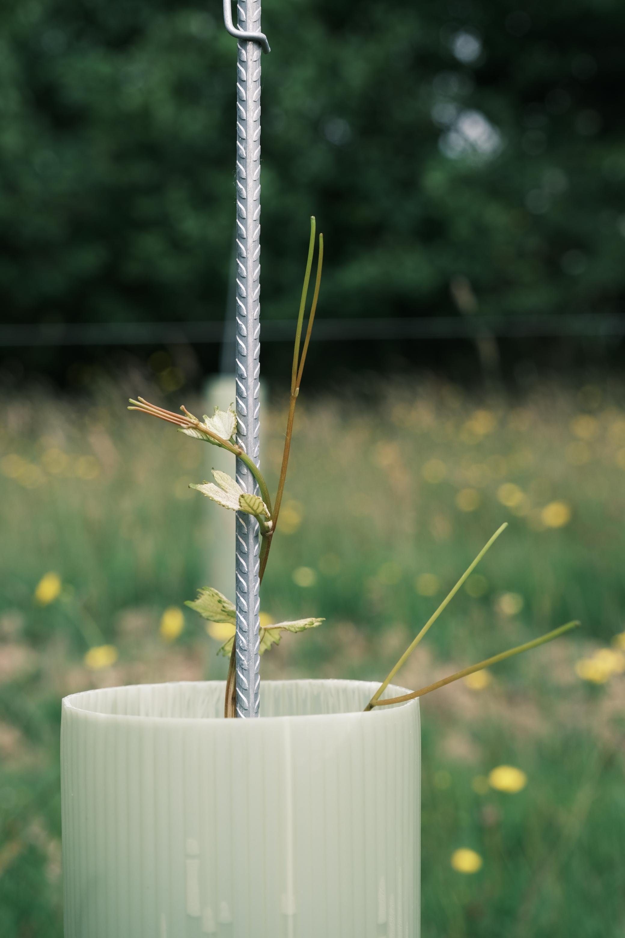 WhatsApp Image 2025-12-17 at 16.11.40-3.jpeg