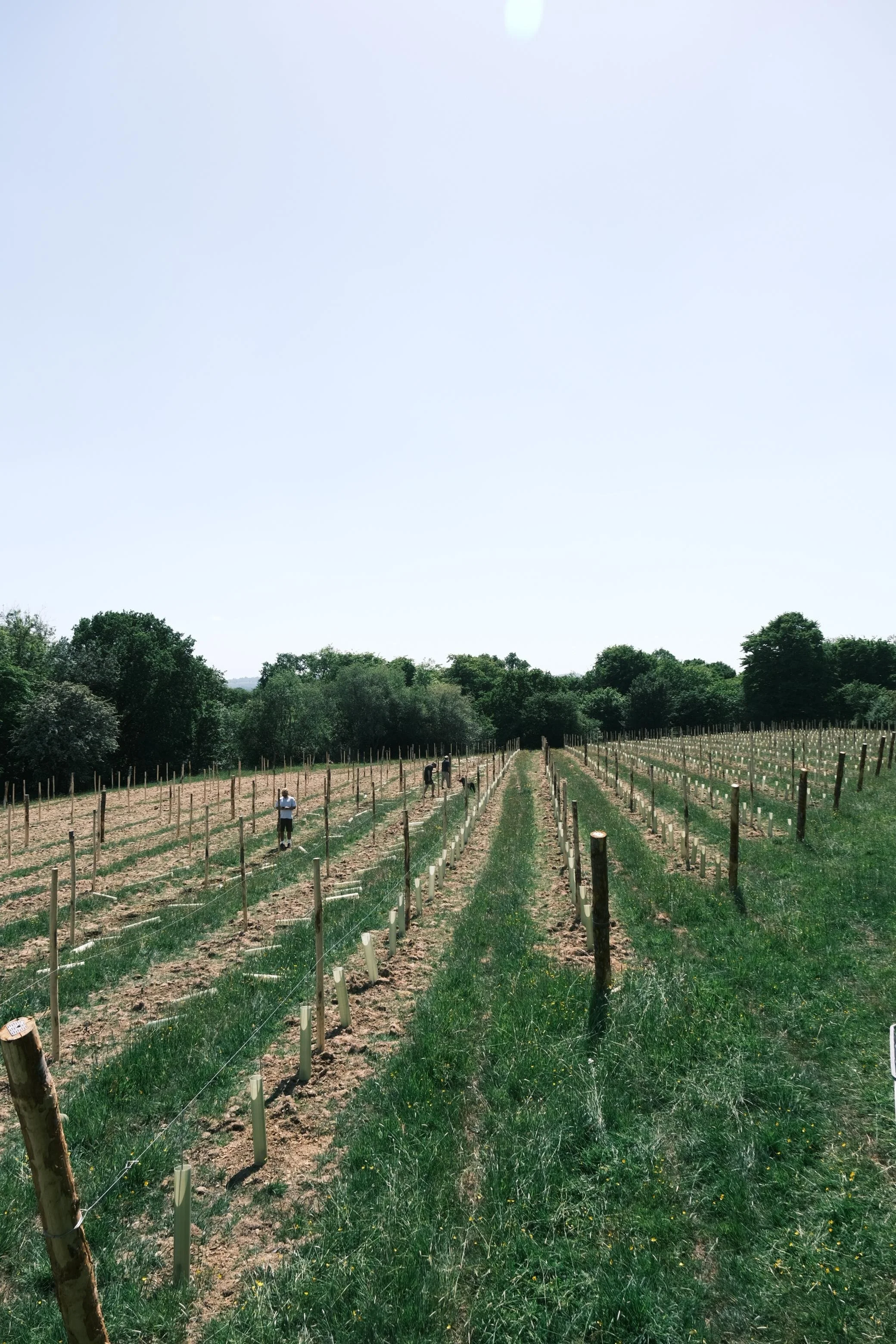 WhatsApp Image 2025-12-17 at 16.11.40-8.jpeg