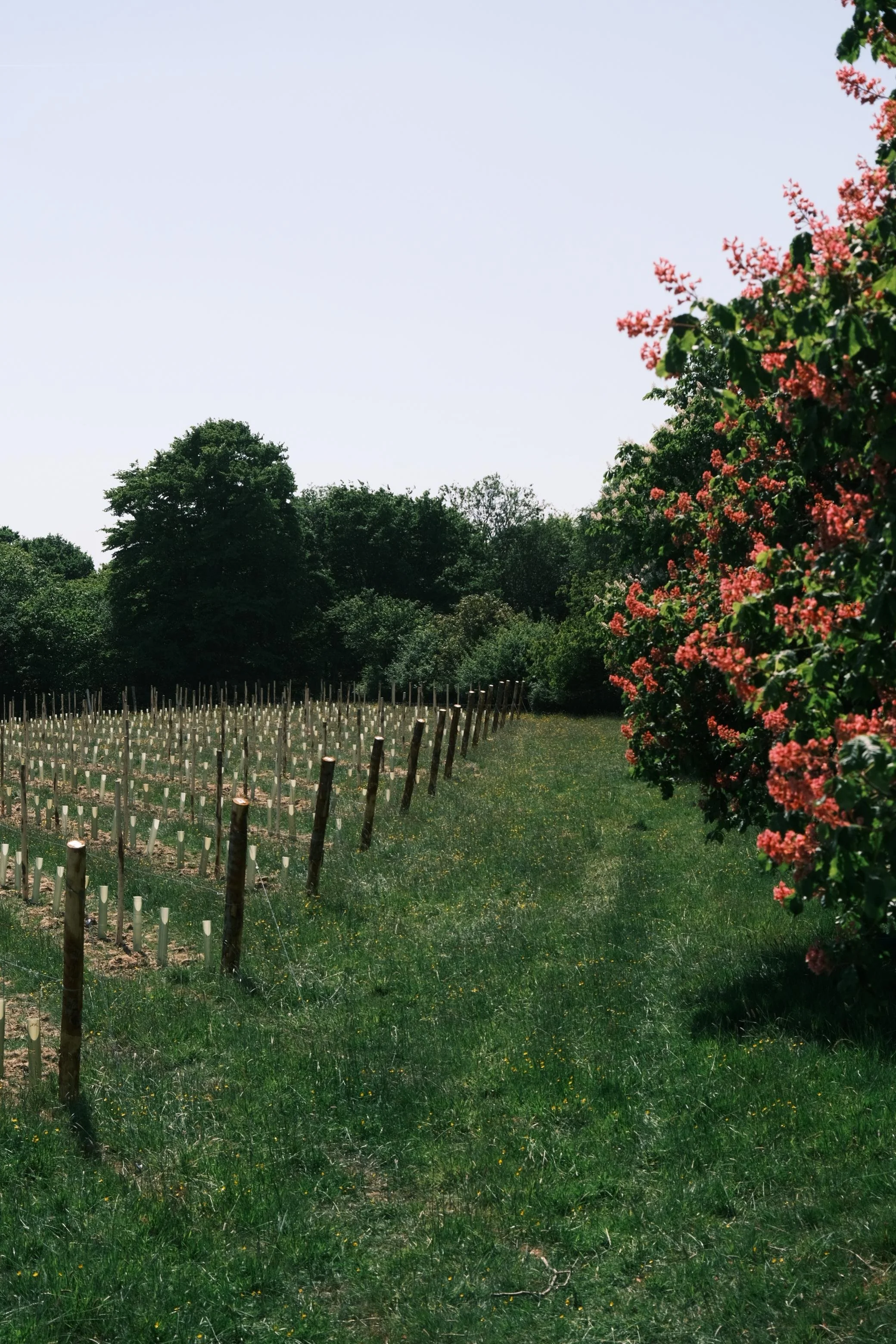 WhatsApp Image 2025-12-17 at 16.11.40-9.jpeg