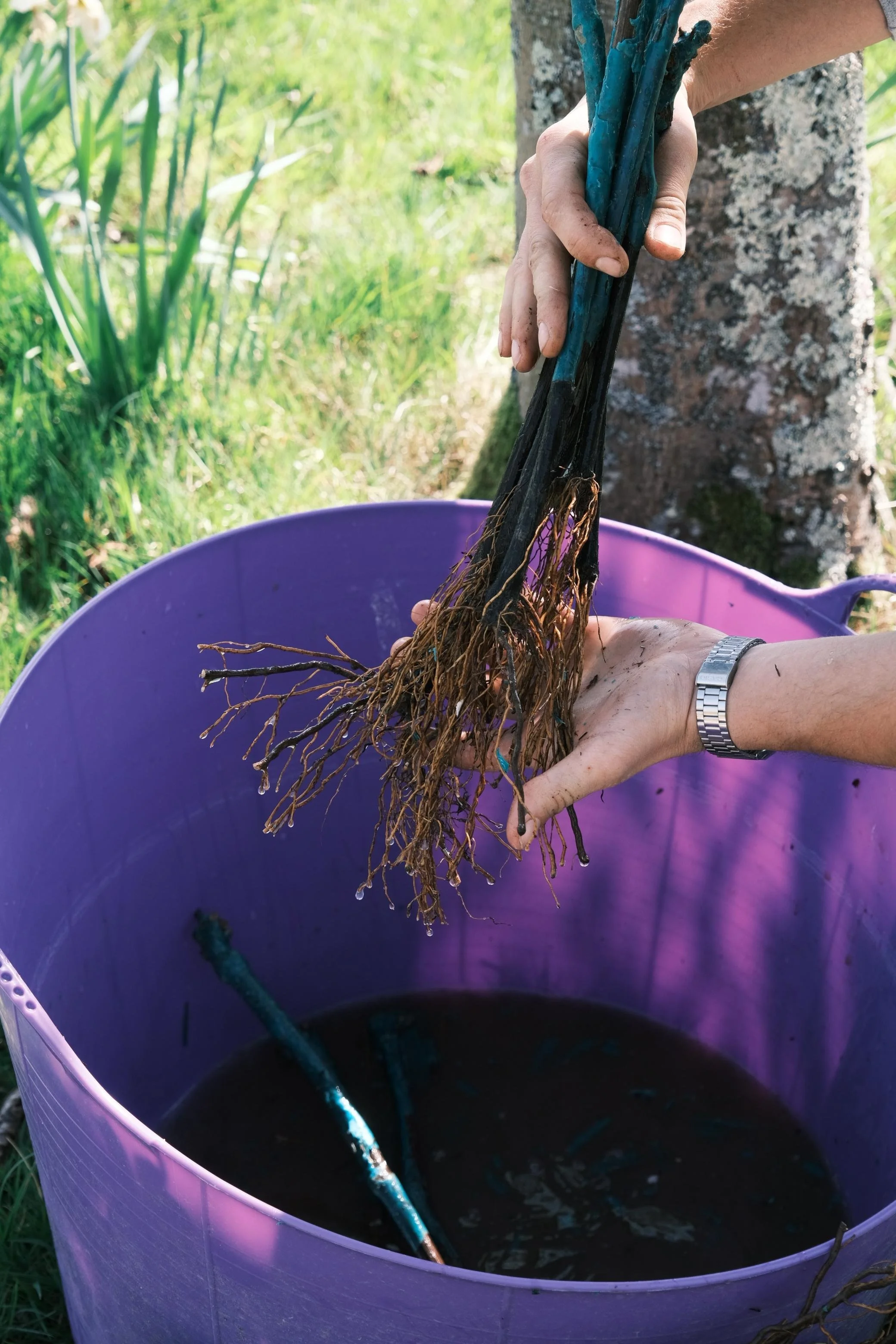 WhatsApp Image 2025-12-17 at 16.11.40-11.jpeg