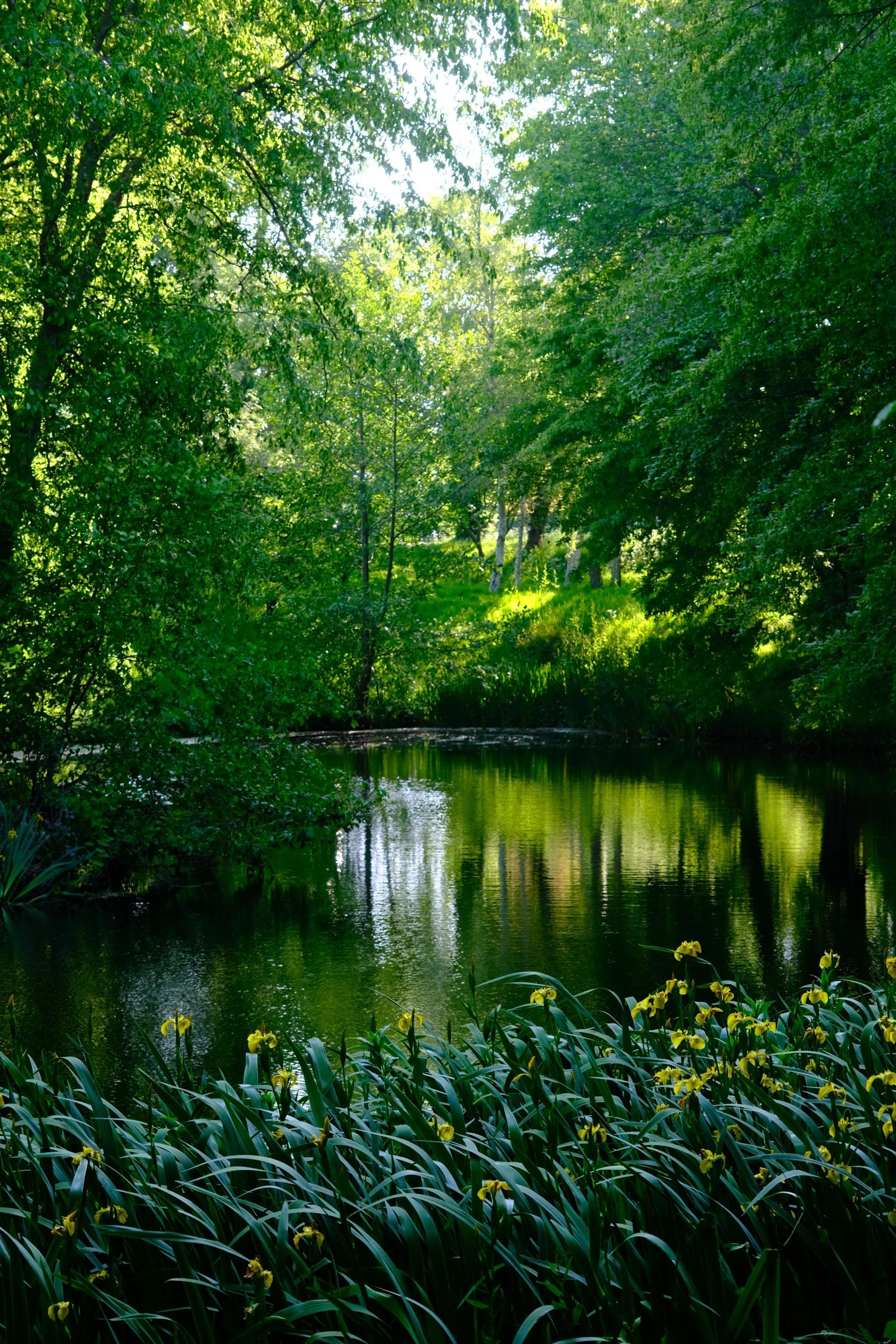 WhatsApp Image 2025-12-17 at 16.10.14-5.jpeg