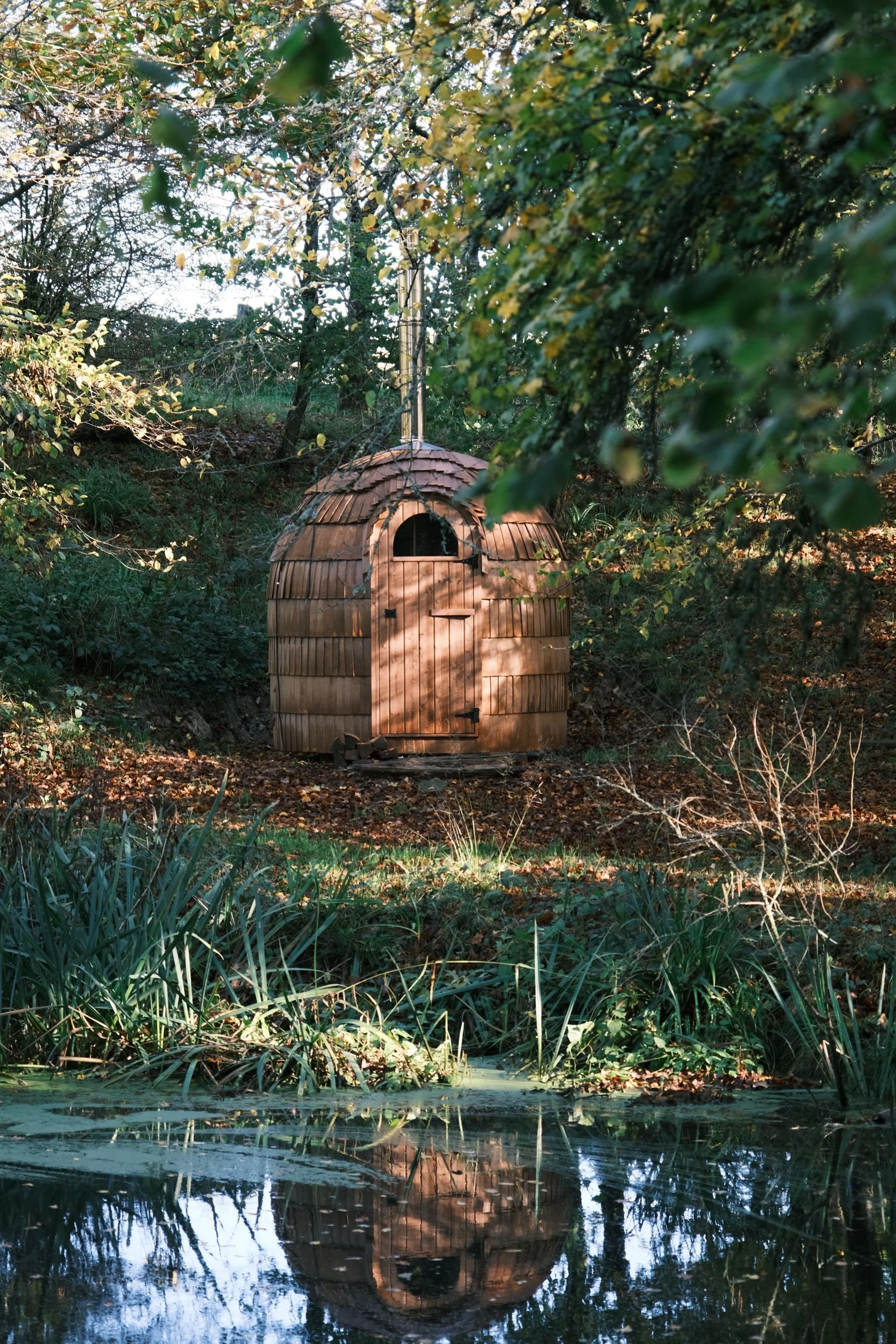 Wellbeing Retreat Immersed in Nature, East Sussex