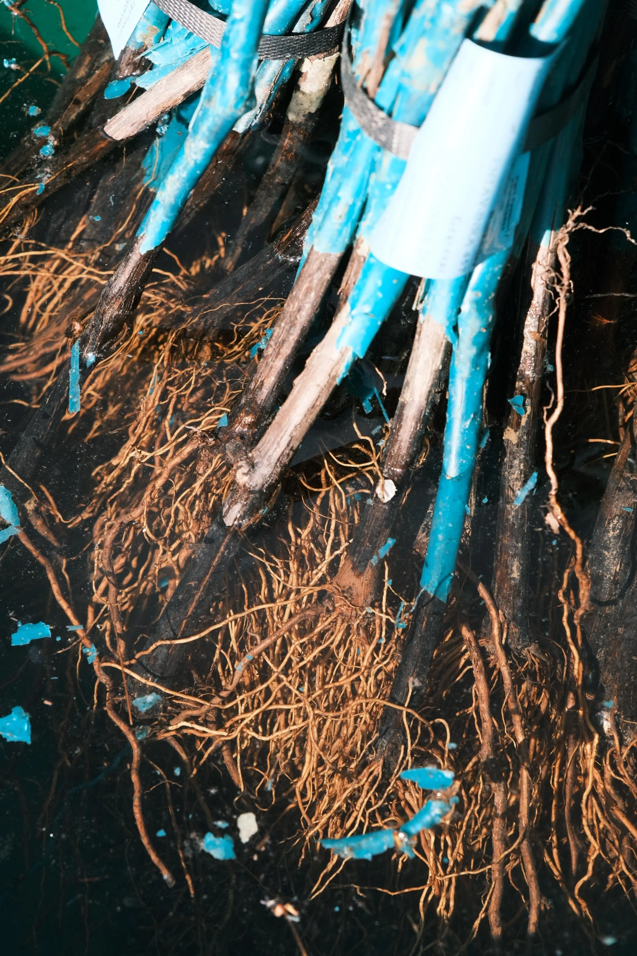 WhatsApp Image 2025-12-17 at 16.11.40-12.jpeg