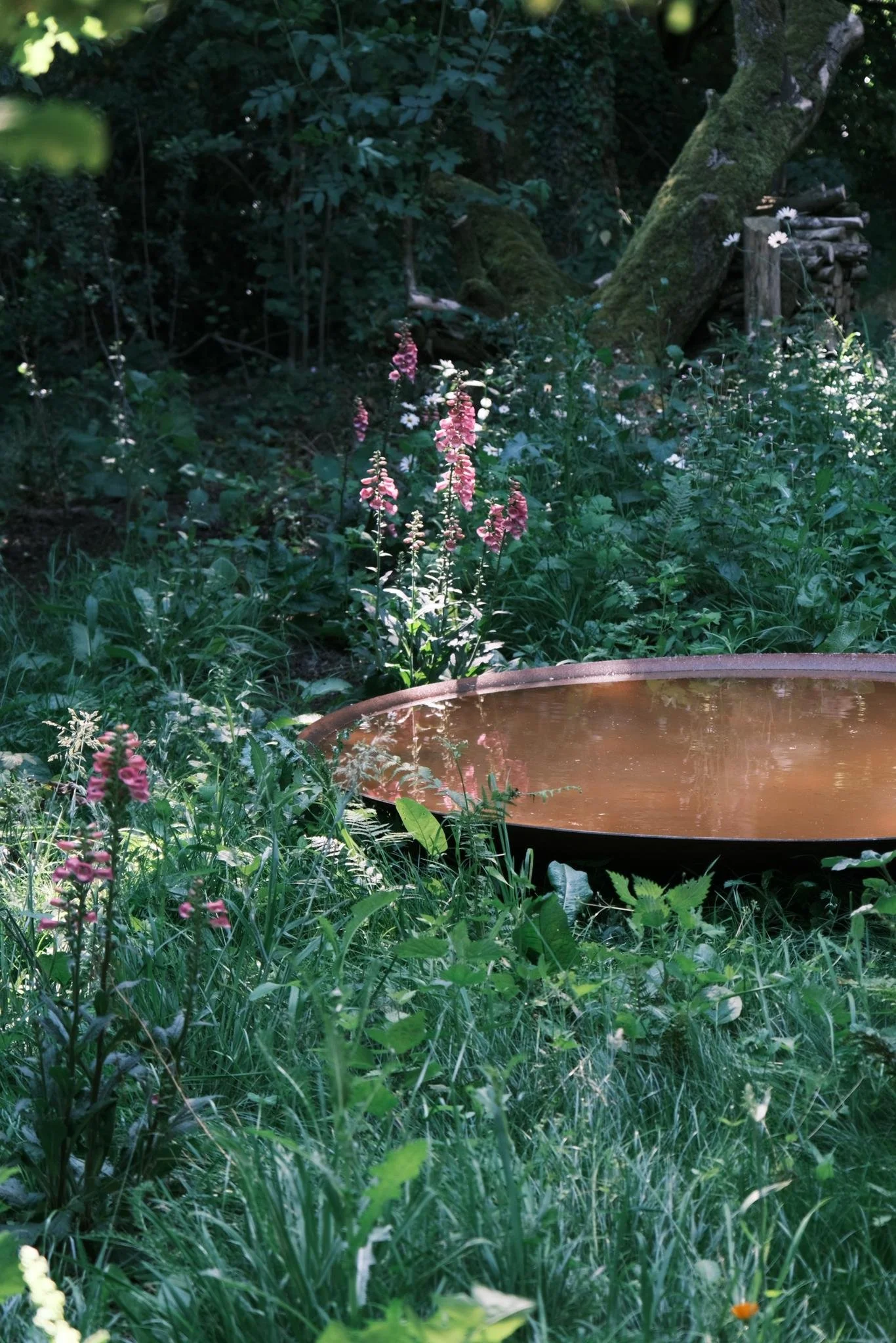 WhatsApp Image 2024-09-02 at 18.24.42_49c19603.jpg