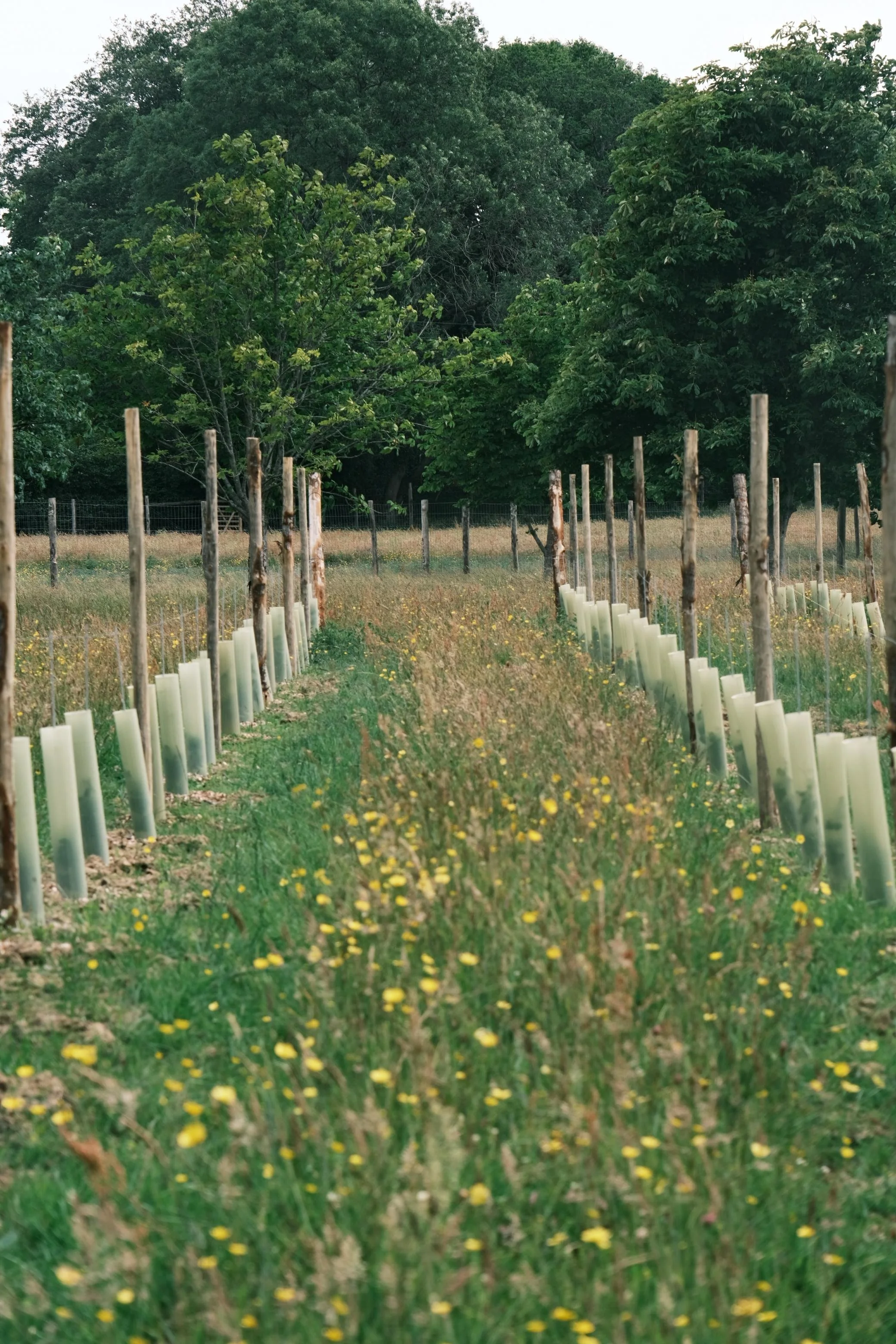 WhatsApp Image 2025-12-17 at 16.11.40 (23).jpeg