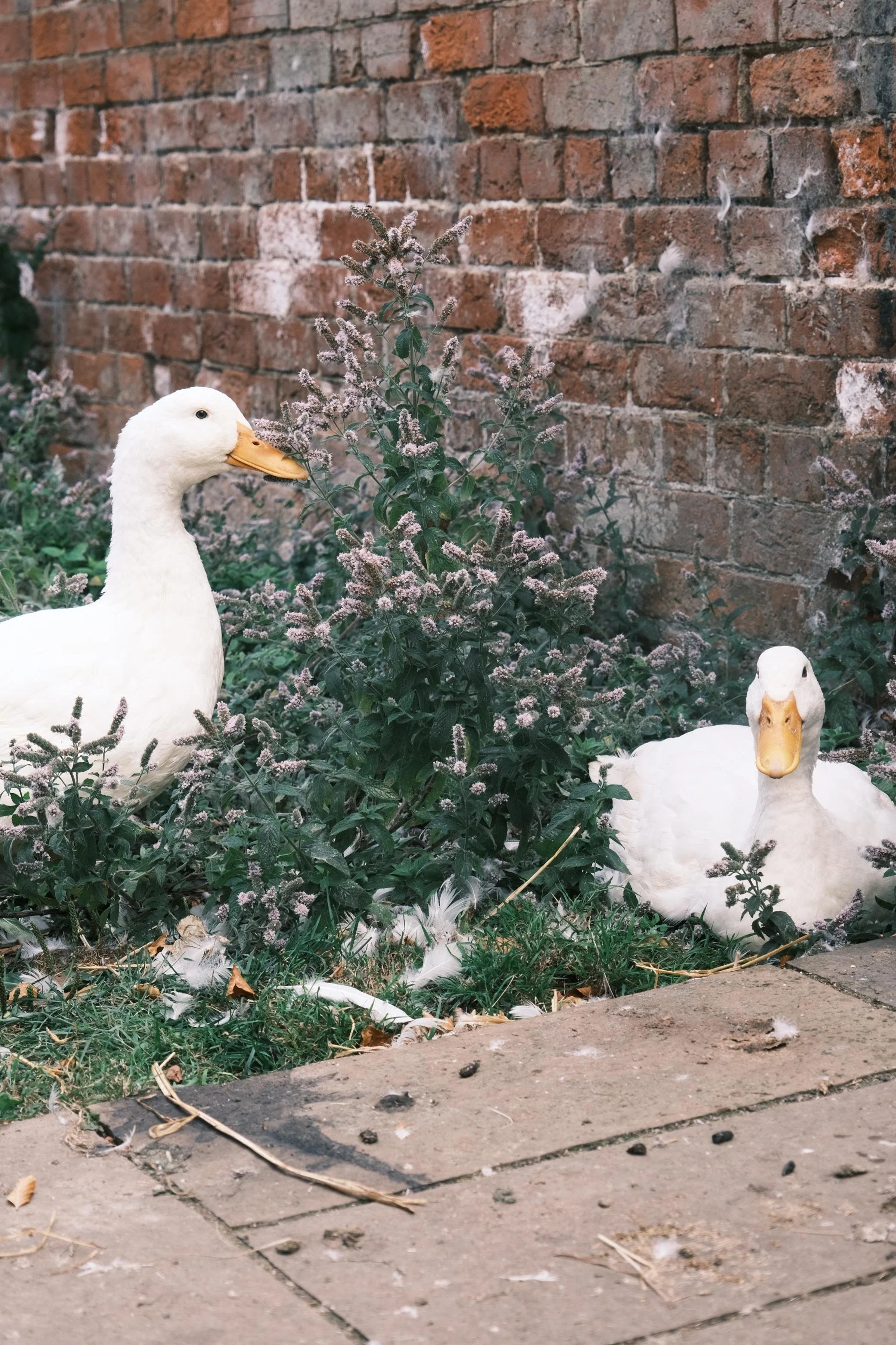 WhatsApp Image 2025-12-17 at 16.12.03 (2).jpeg