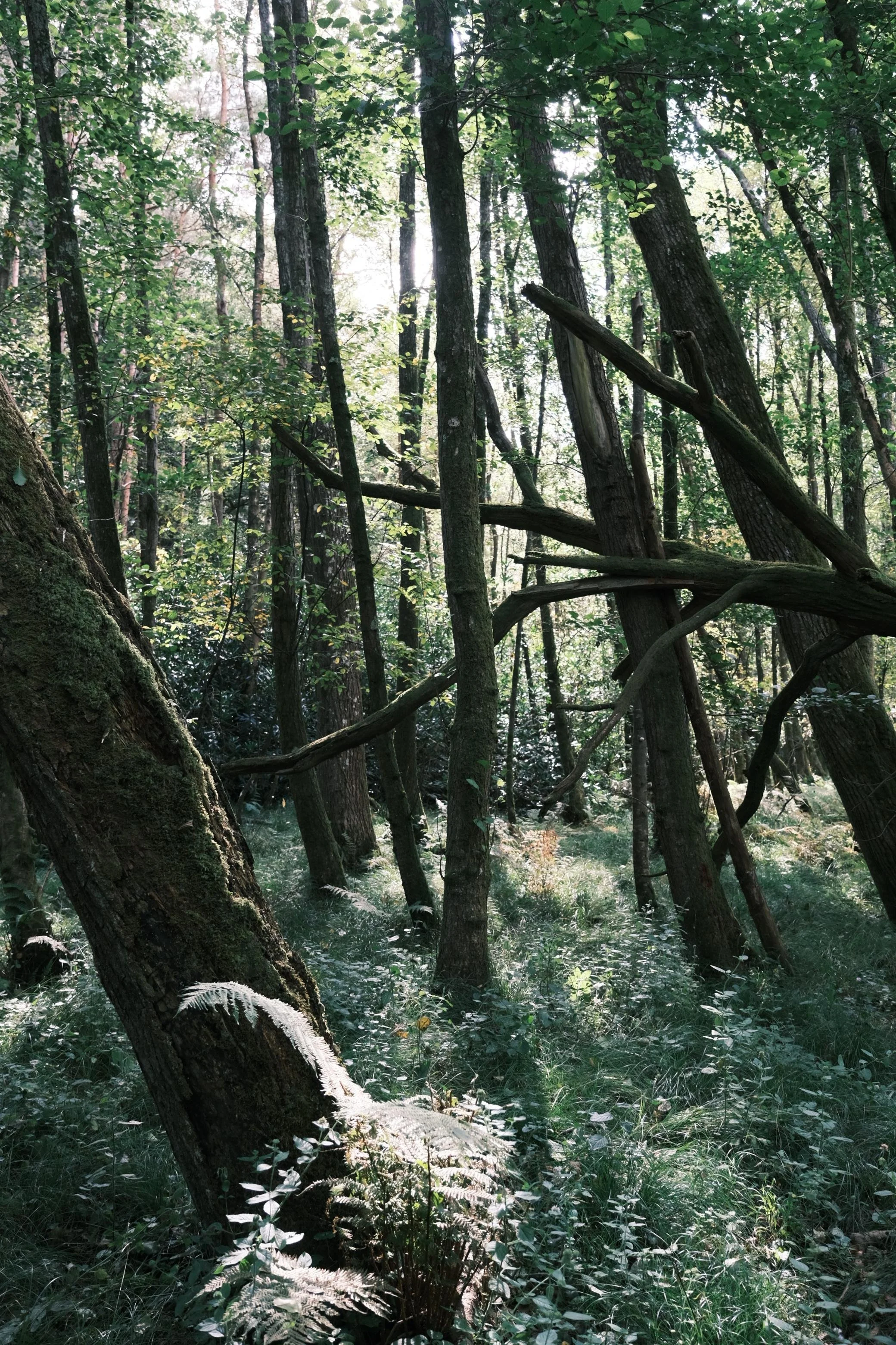 WhatsApp Image 2025-12-17 at 16.12.54 (1).jpeg