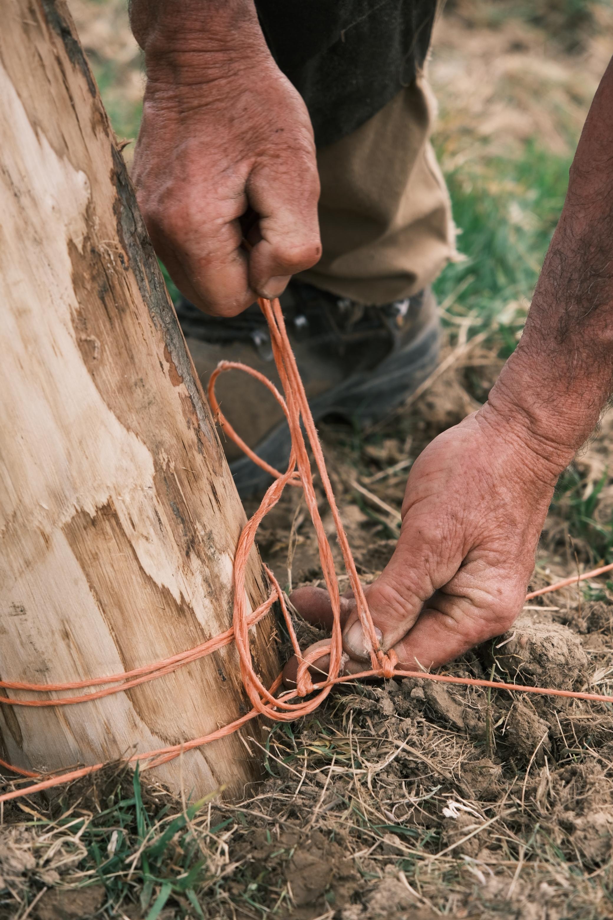 WhatsApp Image 2025-12-17 at 16.17.10 (12).jpeg