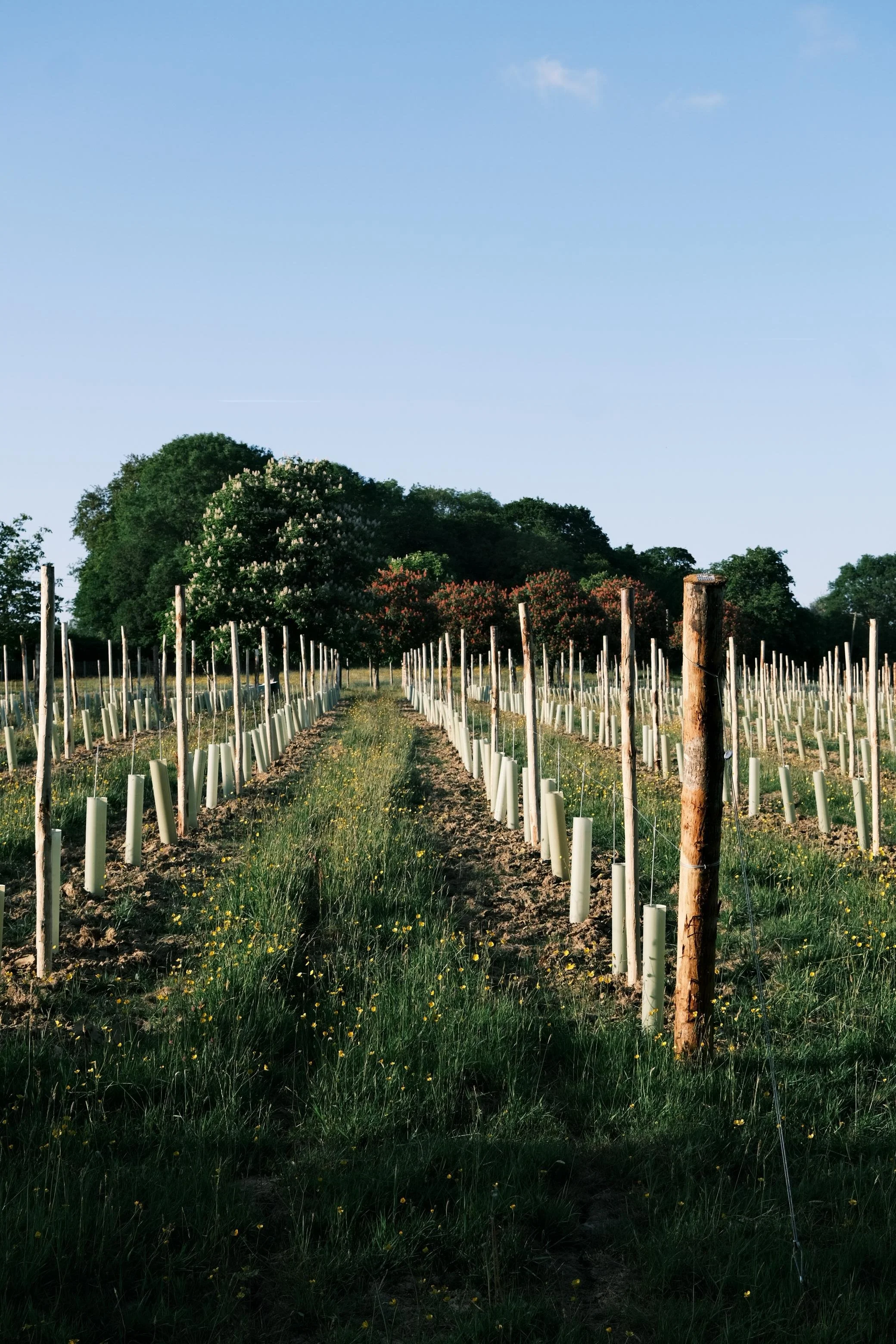 WhatsApp Image 2025-12-17 at 16.11.40 (3).jpeg