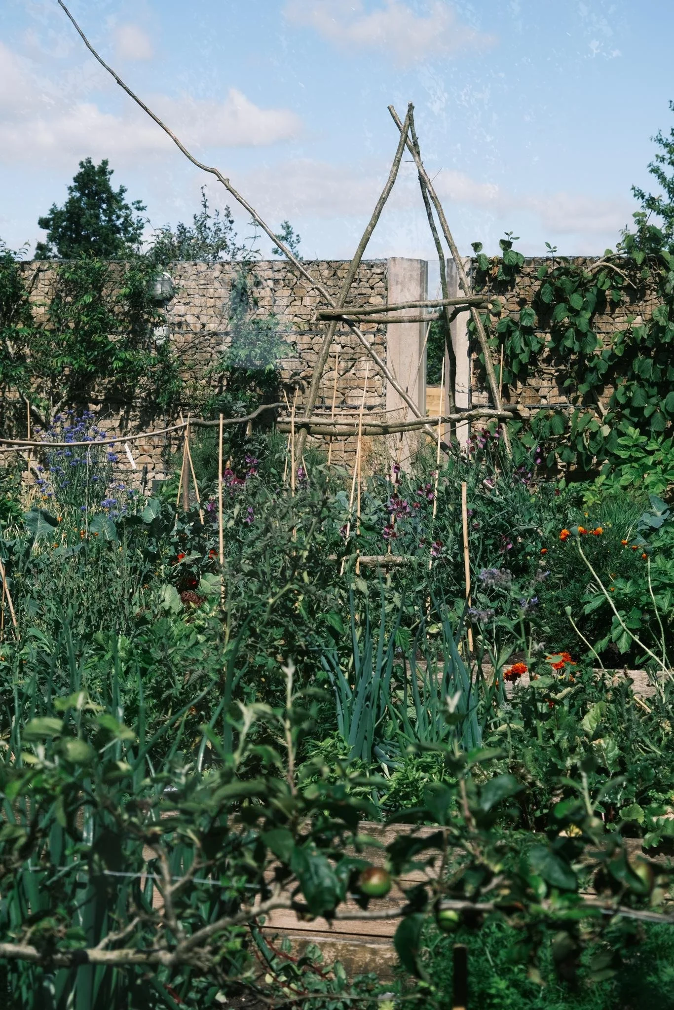 WhatsApp Image 2024-09-02 at 18.38.59_3b35b177.jpg